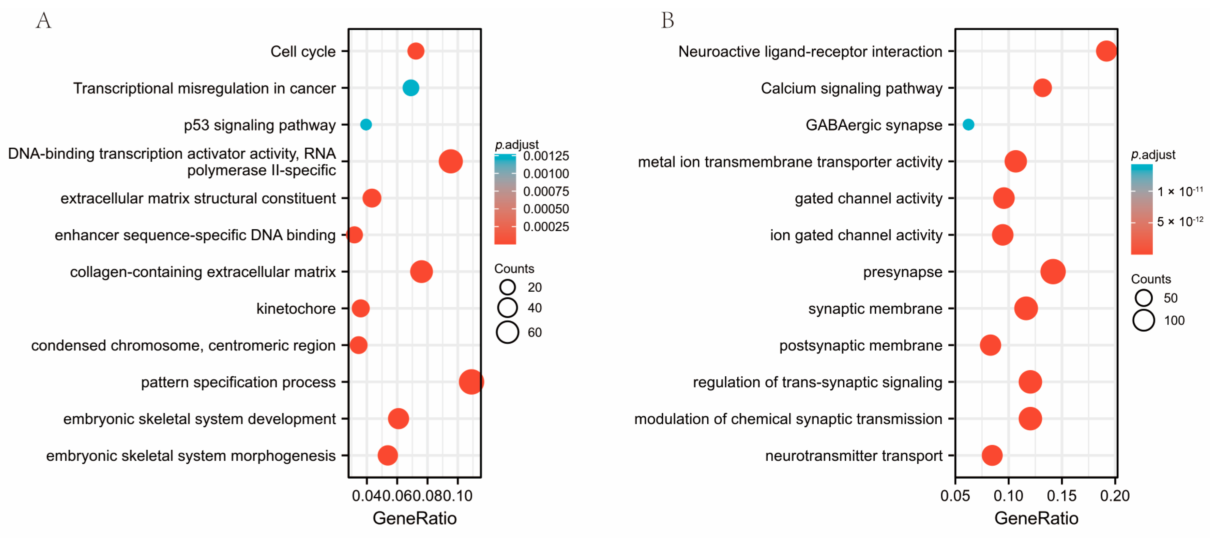 Genes 14 00701 g007 Genes 14 00701 g007