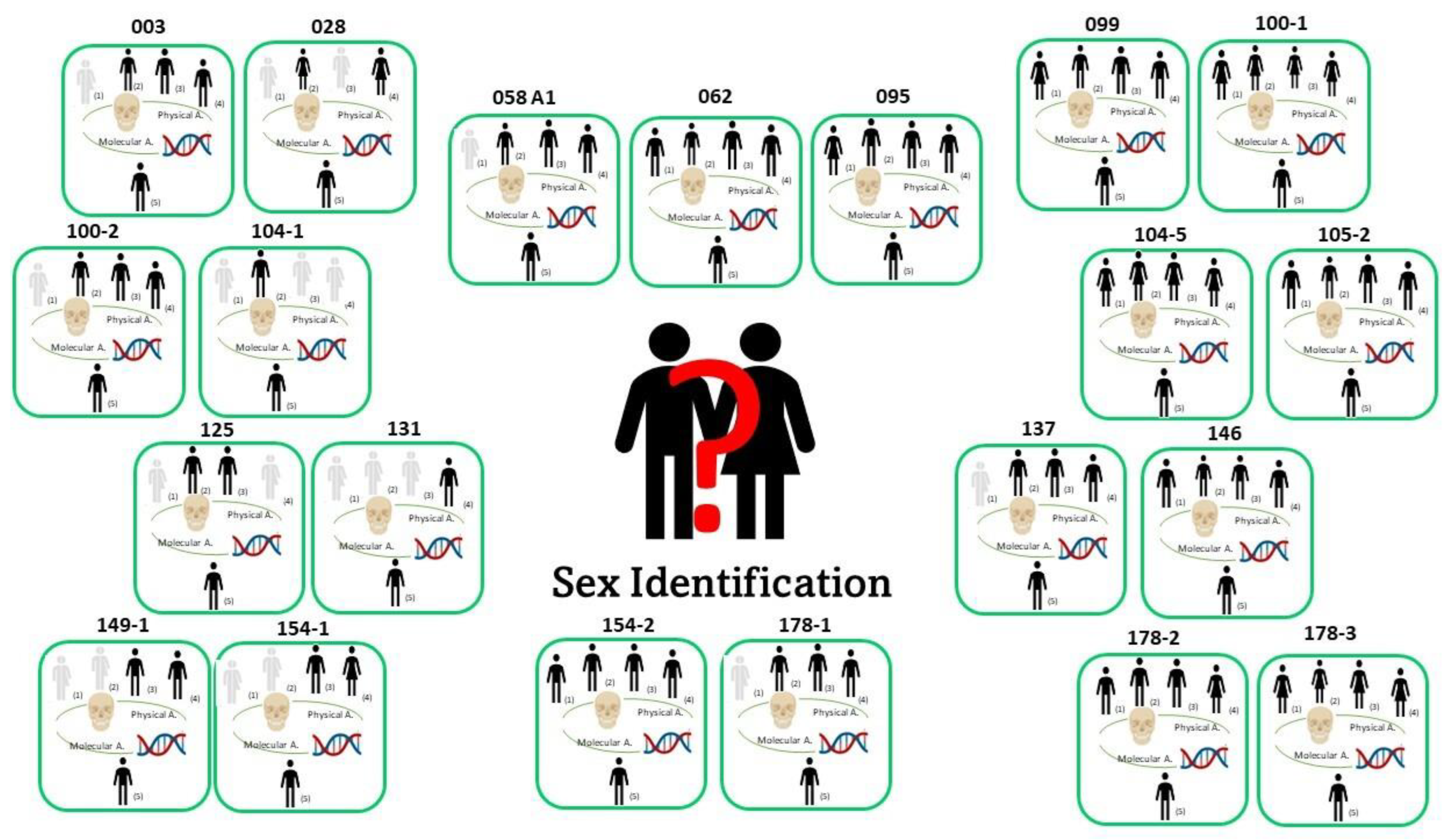 How Physical and Molecular Anthropology Interplay in the Creation of  Biological Profiles of Unidentified Migrants