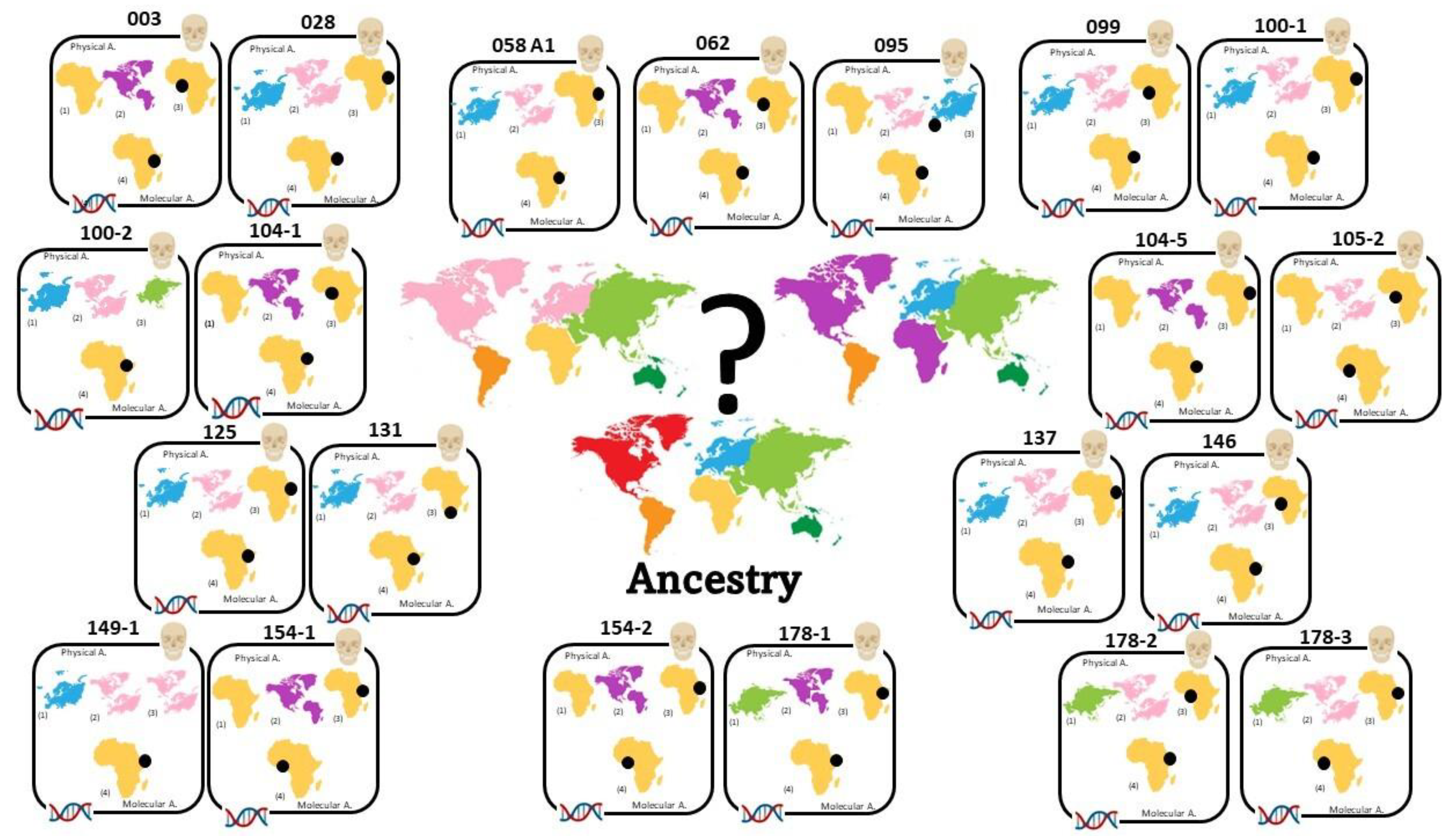 How Physical and Molecular Anthropology Interplay in the Creation of  Biological Profiles of Unidentified Migrants