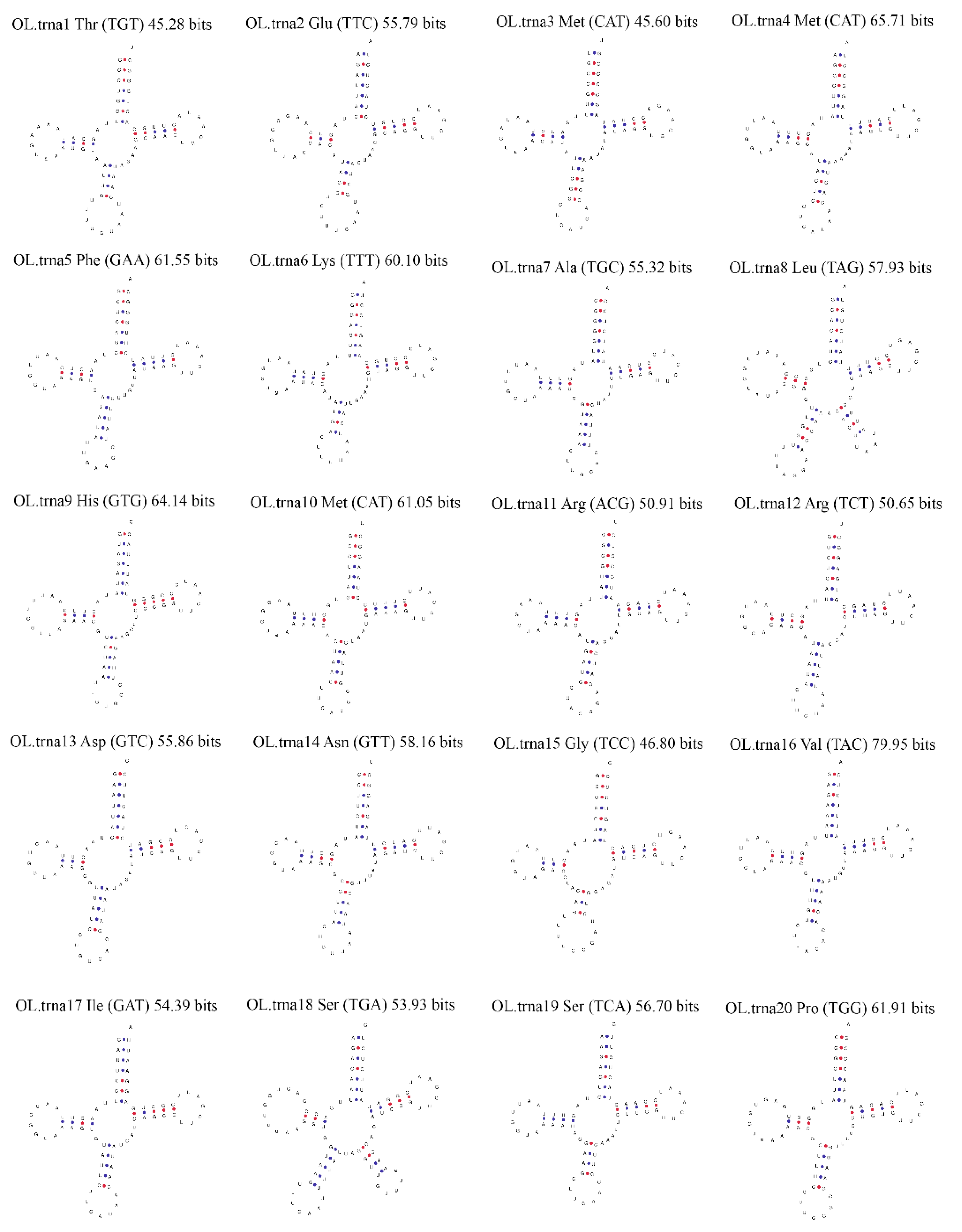 Genes 14 00710 g004 550