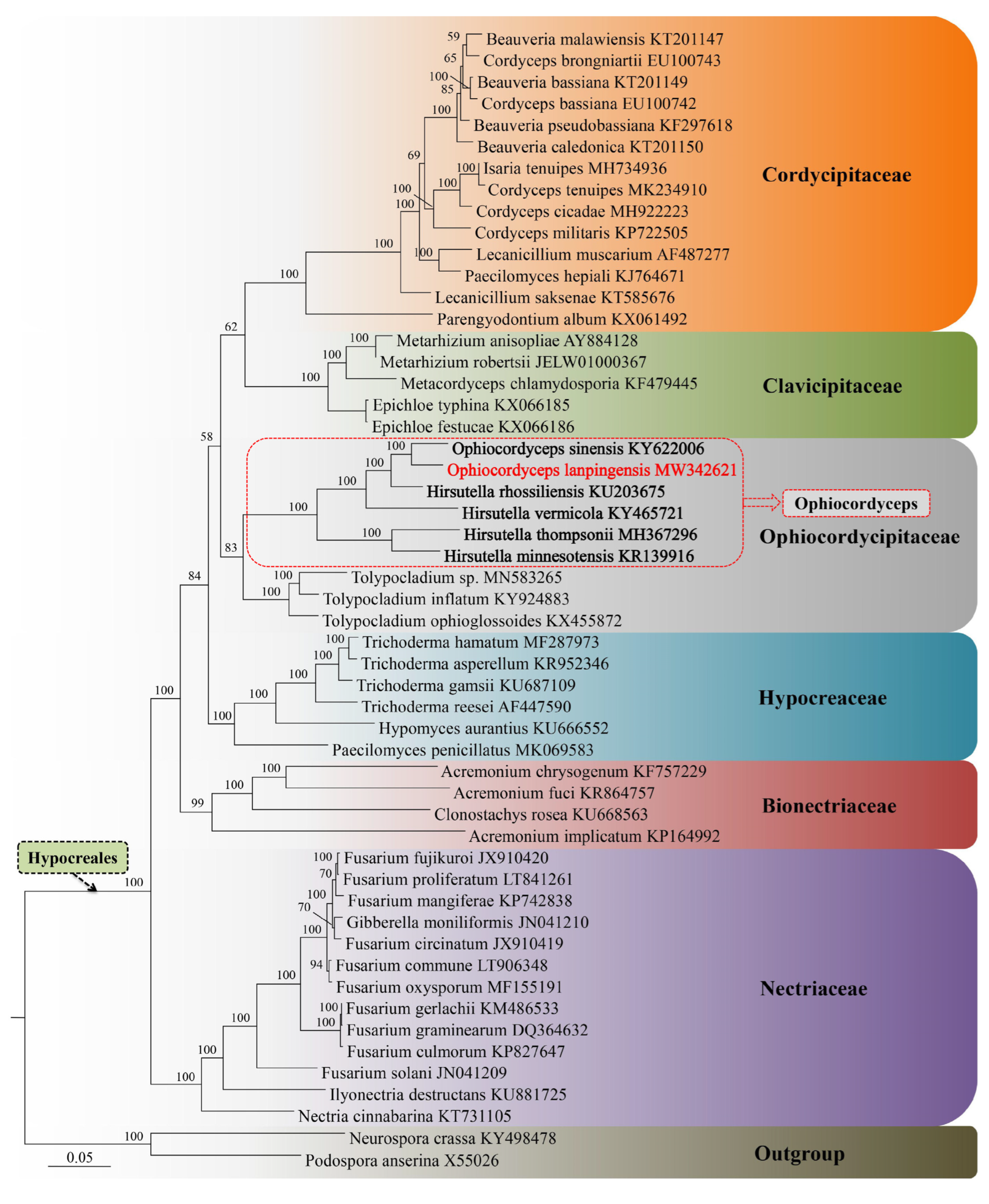 Genes 14 00710 g009 550
