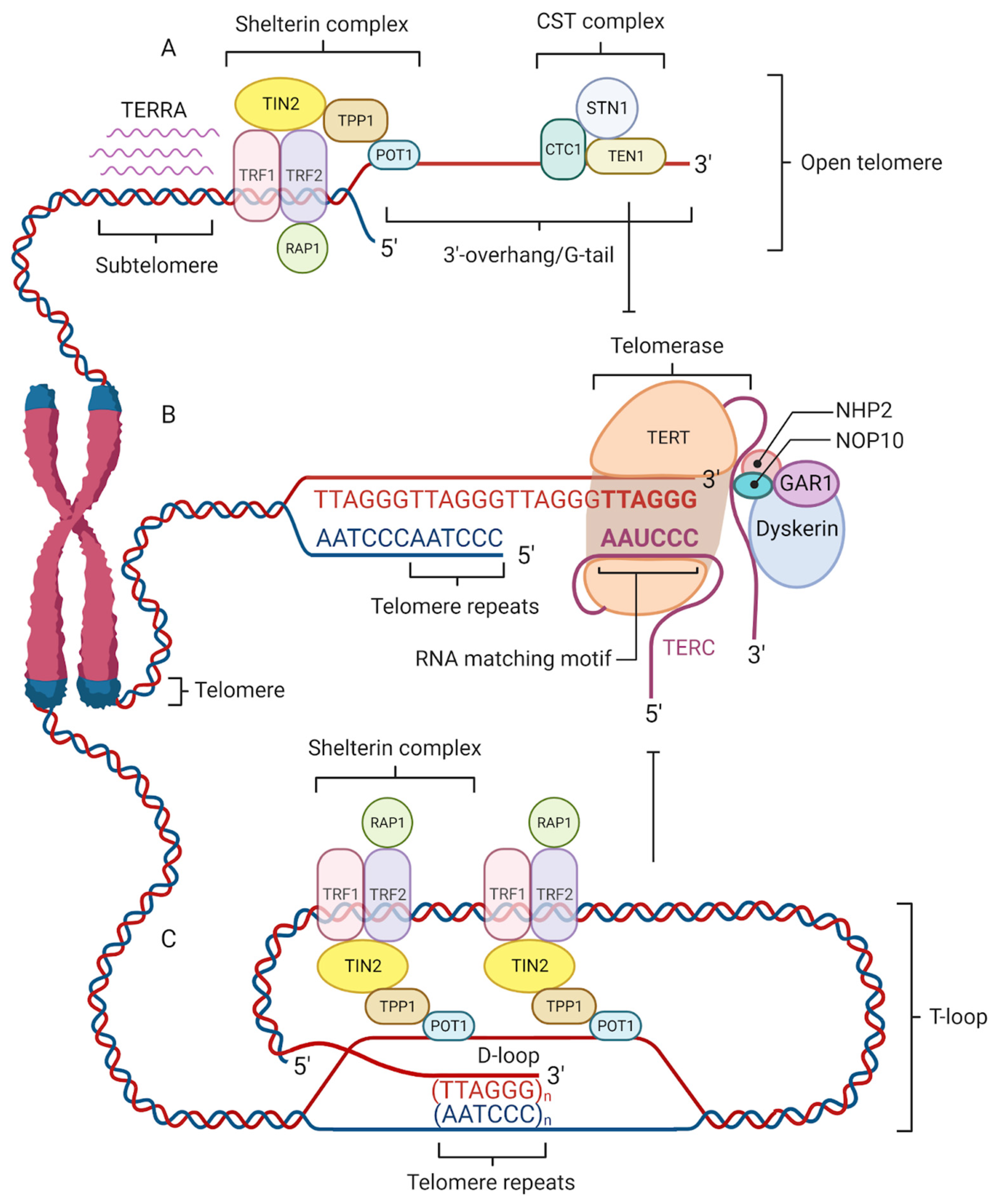 Genes 14 00715 g001 Genes 14 00715 g001
