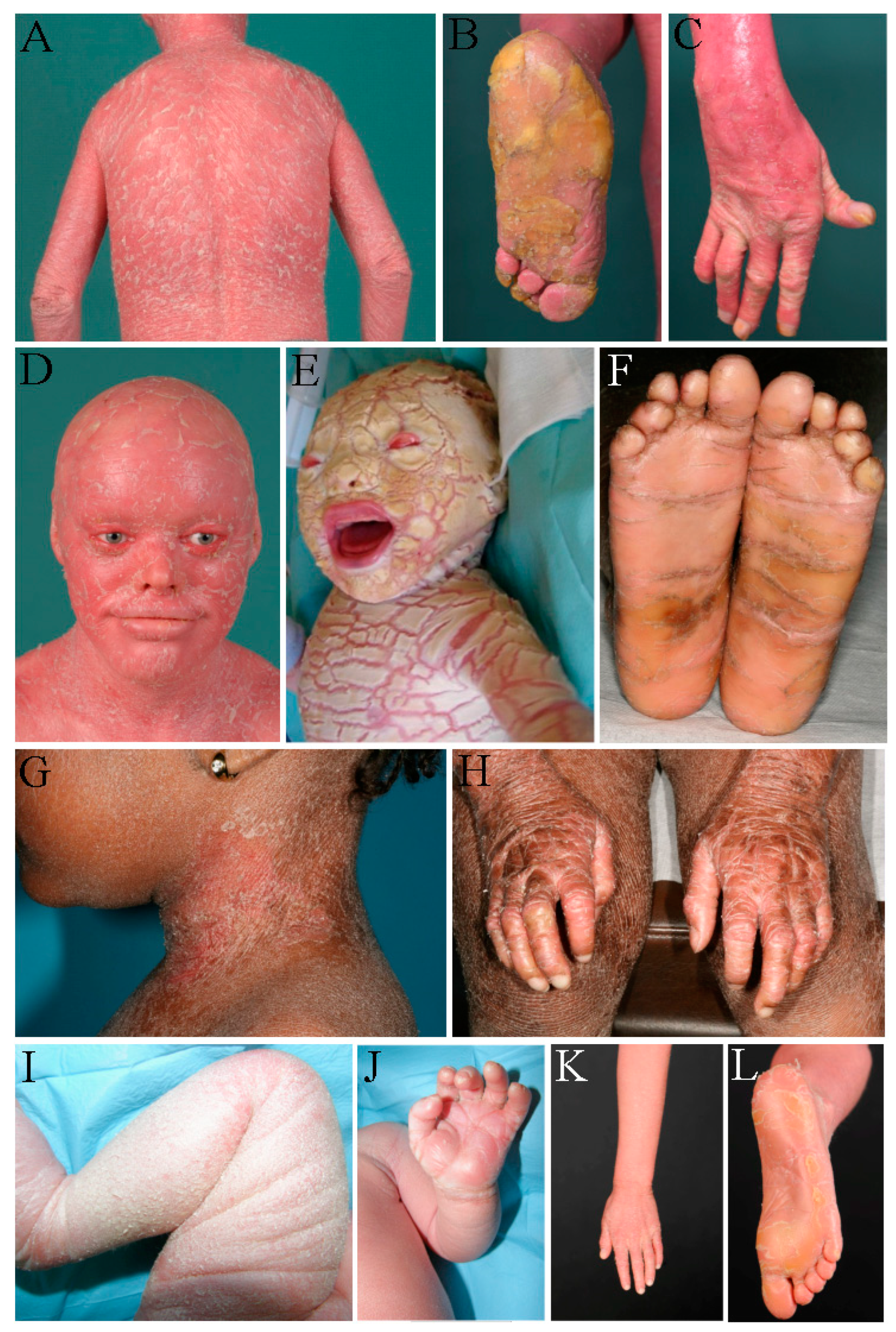 Genes 14 00717 g002 Genes 14 00717 g002