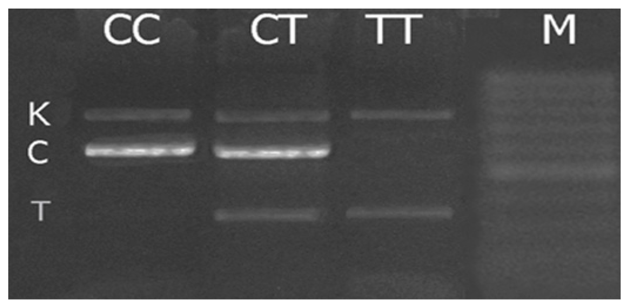 Genes 14 00718 g001 Genes 14 00718 g001