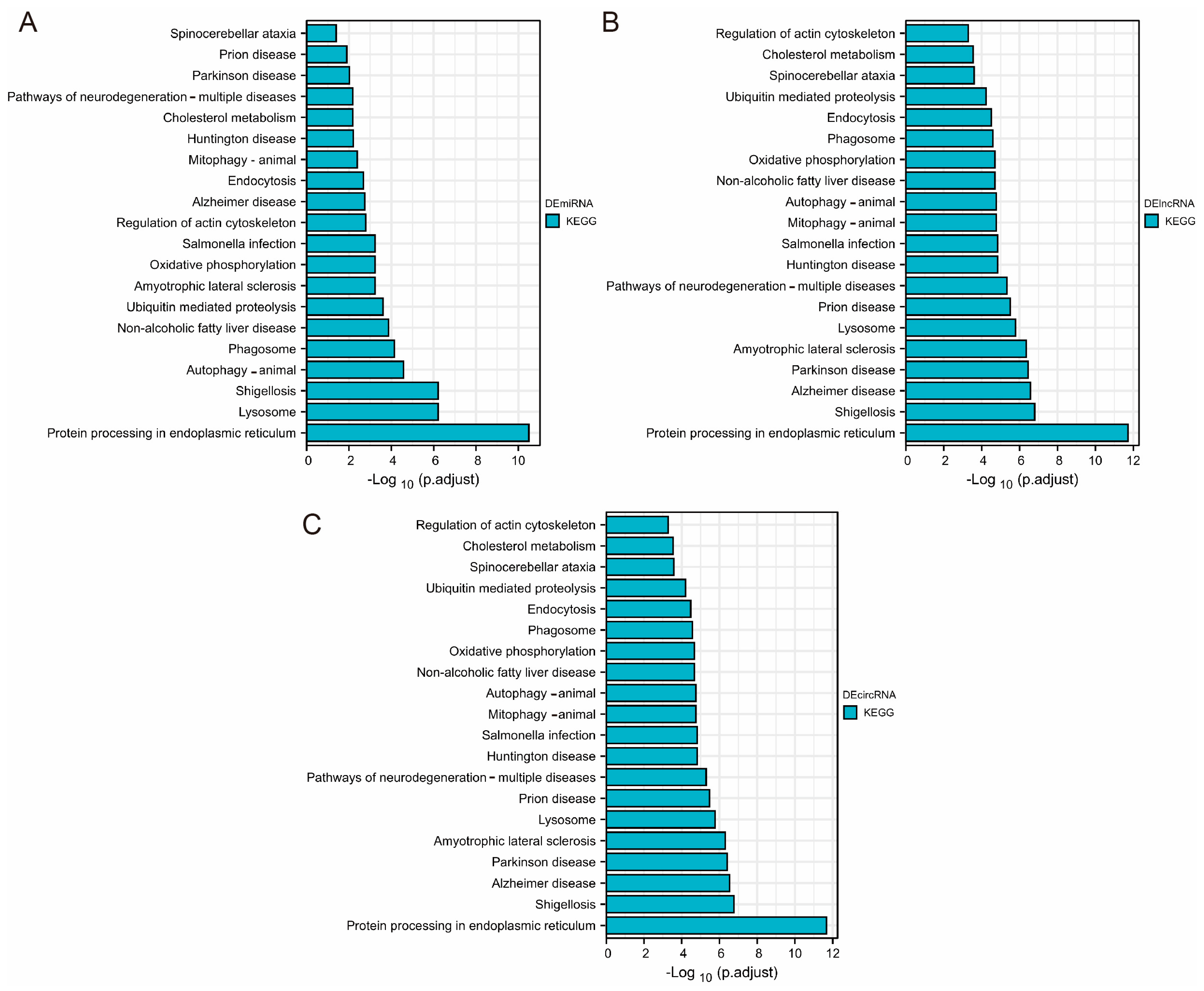 Genes 14 00723 g004 Genes 14 00723 g004