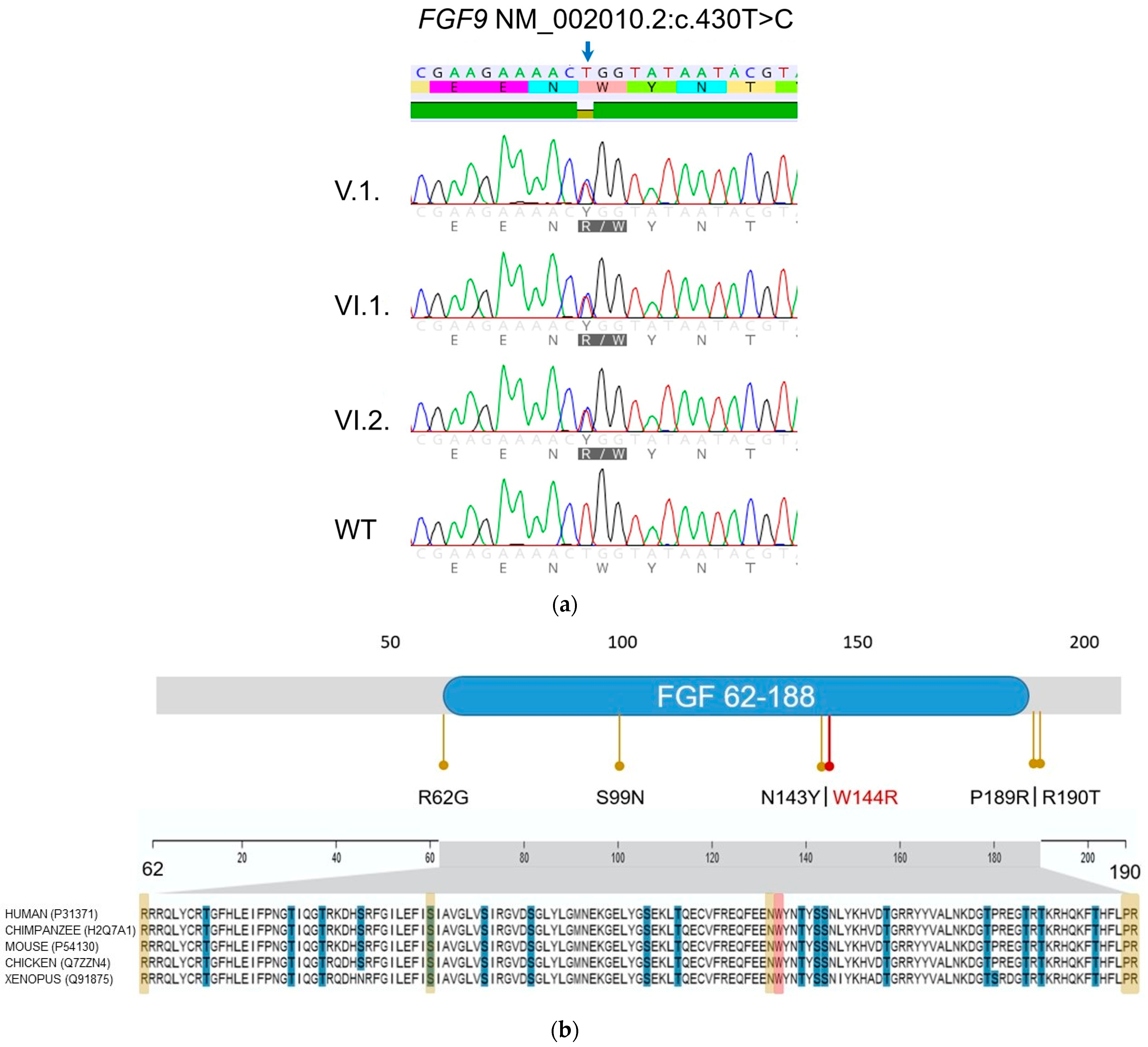 Genes 14 00724 g005