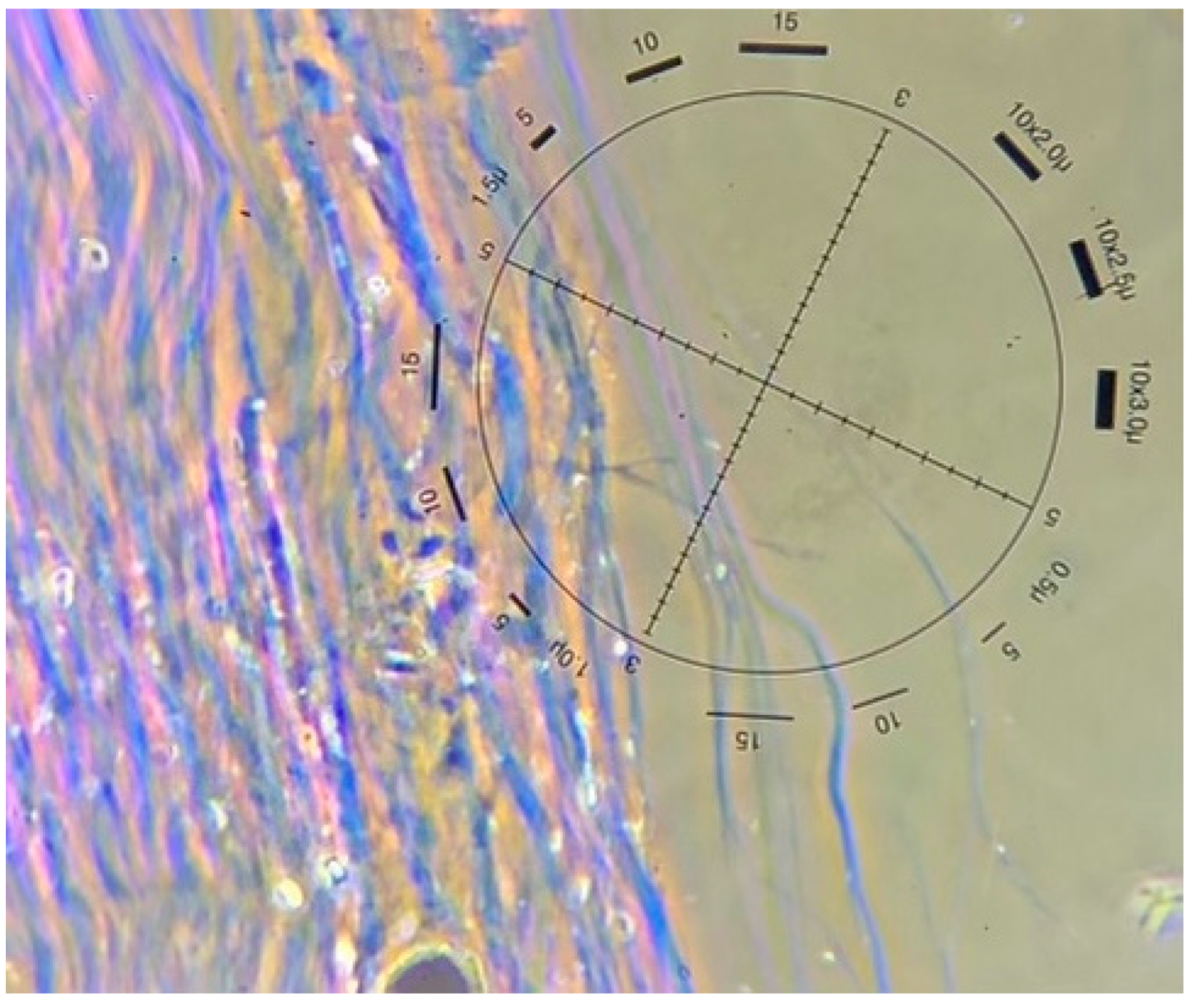 Genes 14 00729 g002 Genes 14 00729 g002