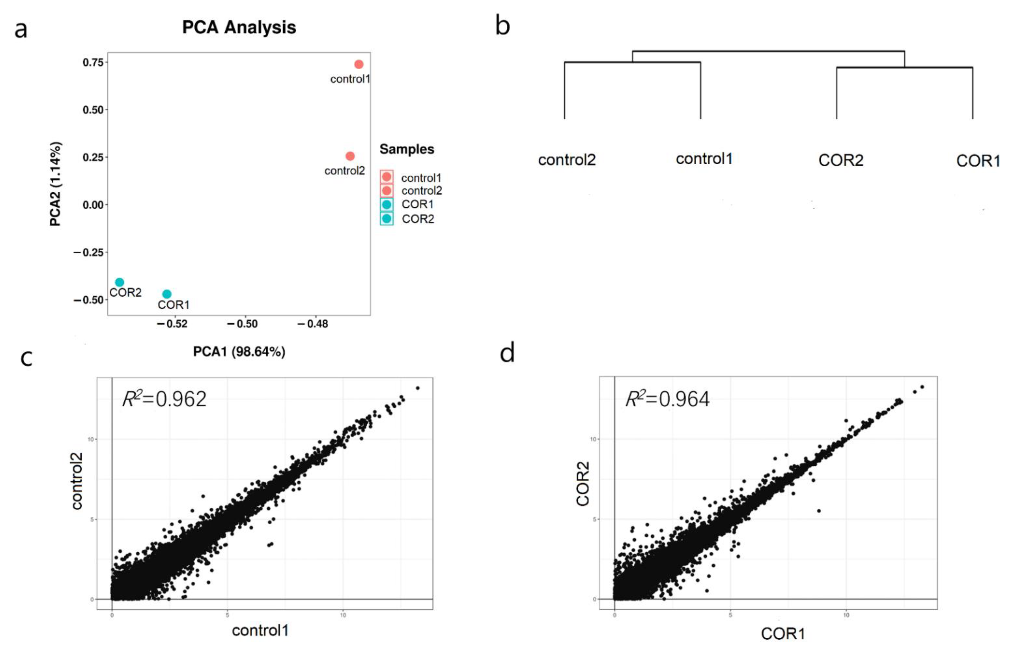 Genes 14 00735 g003 Genes 14 00735 g003