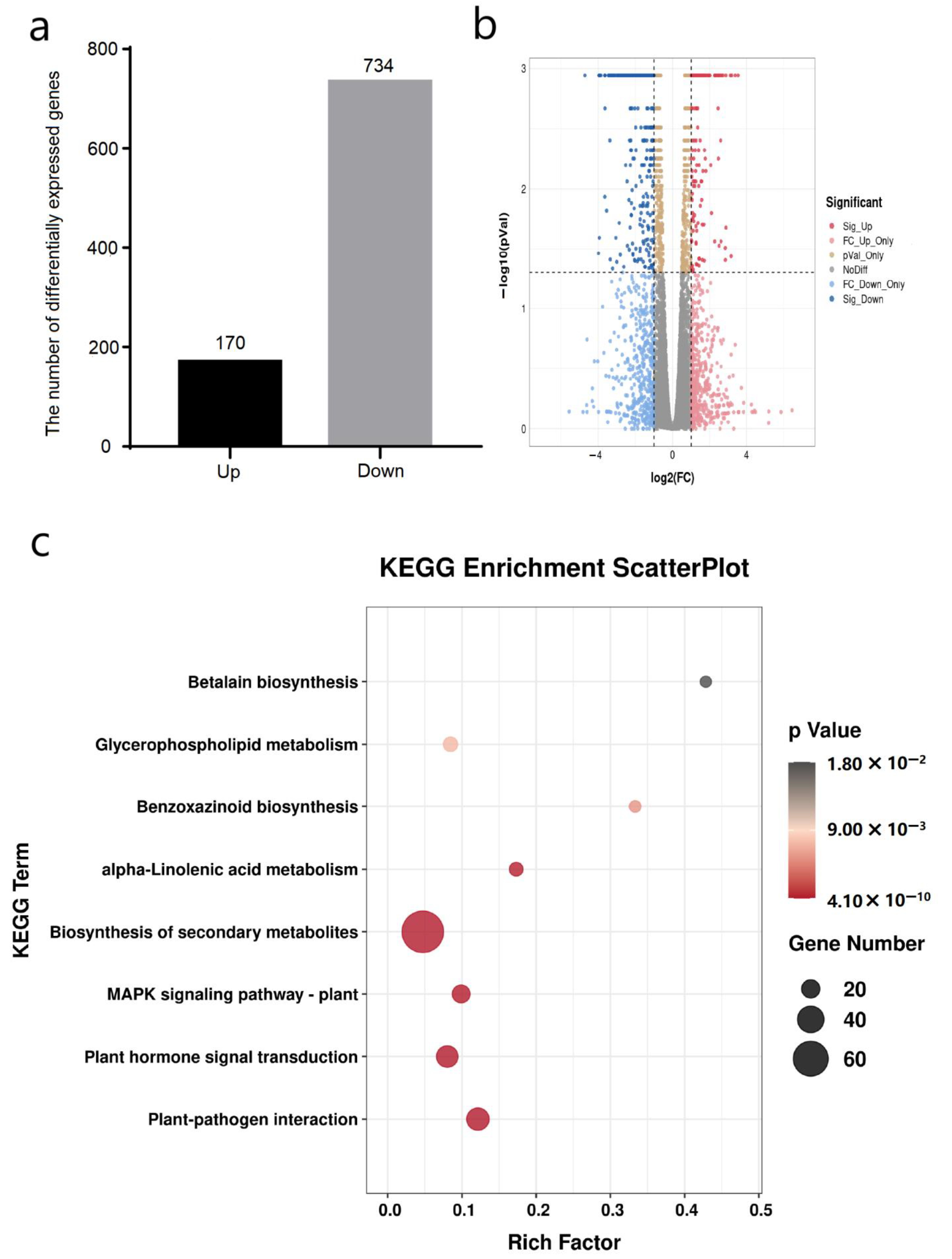 Genes 14 00735 g004 Genes 14 00735 g004