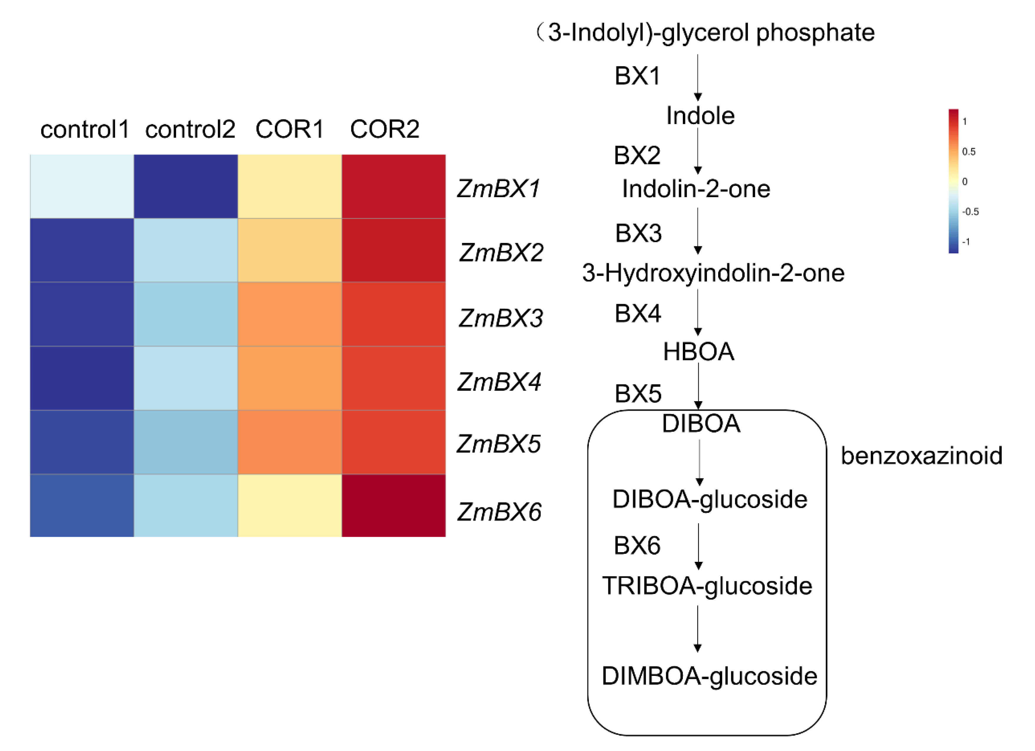 Genes 14 00735 g005 Genes 14 00735 g005