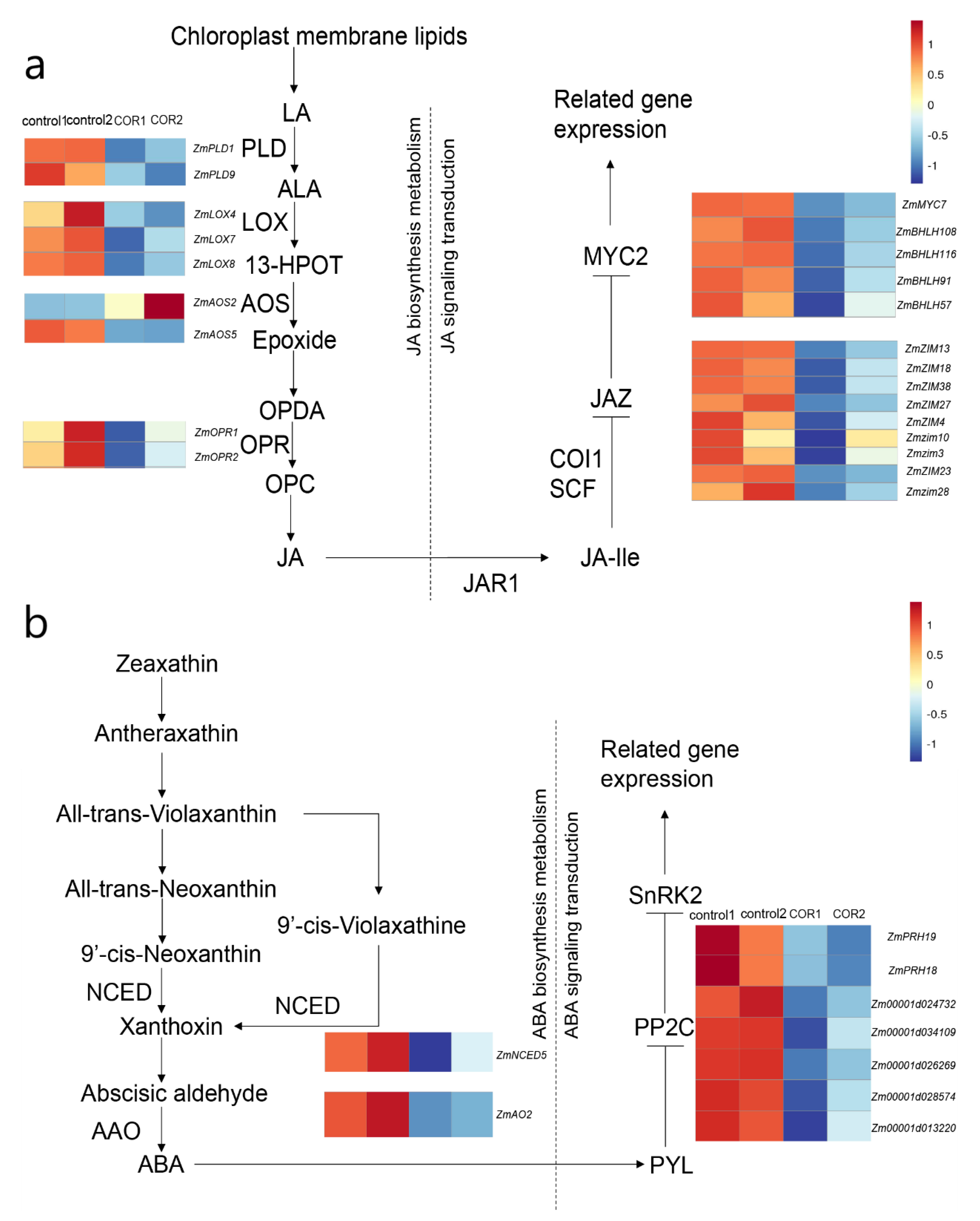 Genes 14 00735 g006 Genes 14 00735 g006