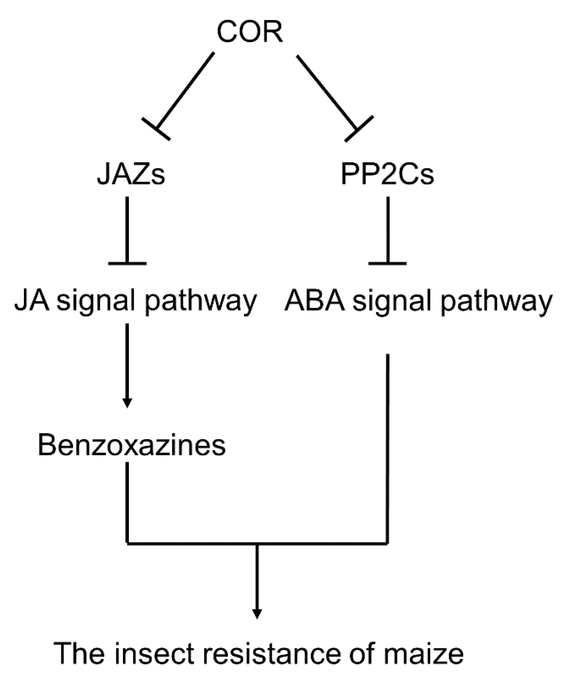 Genes 14 00735 g007 Genes 14 00735 g007