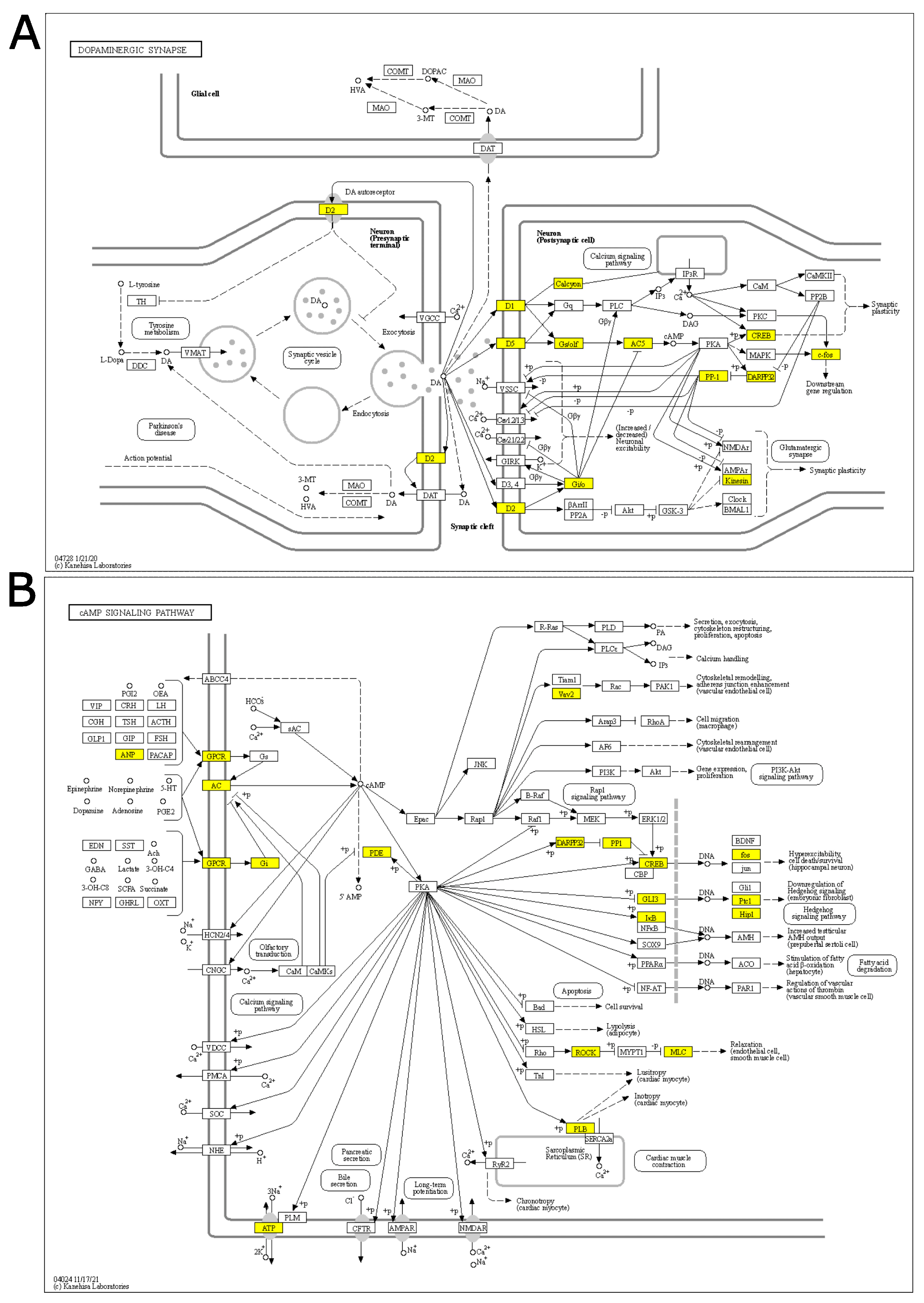 Genes 14 00740 g002