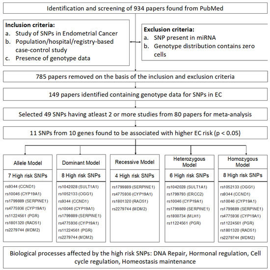Meta-Analysis of 49 SNPs Covering 25,446 Cases and 41,106 Controls 