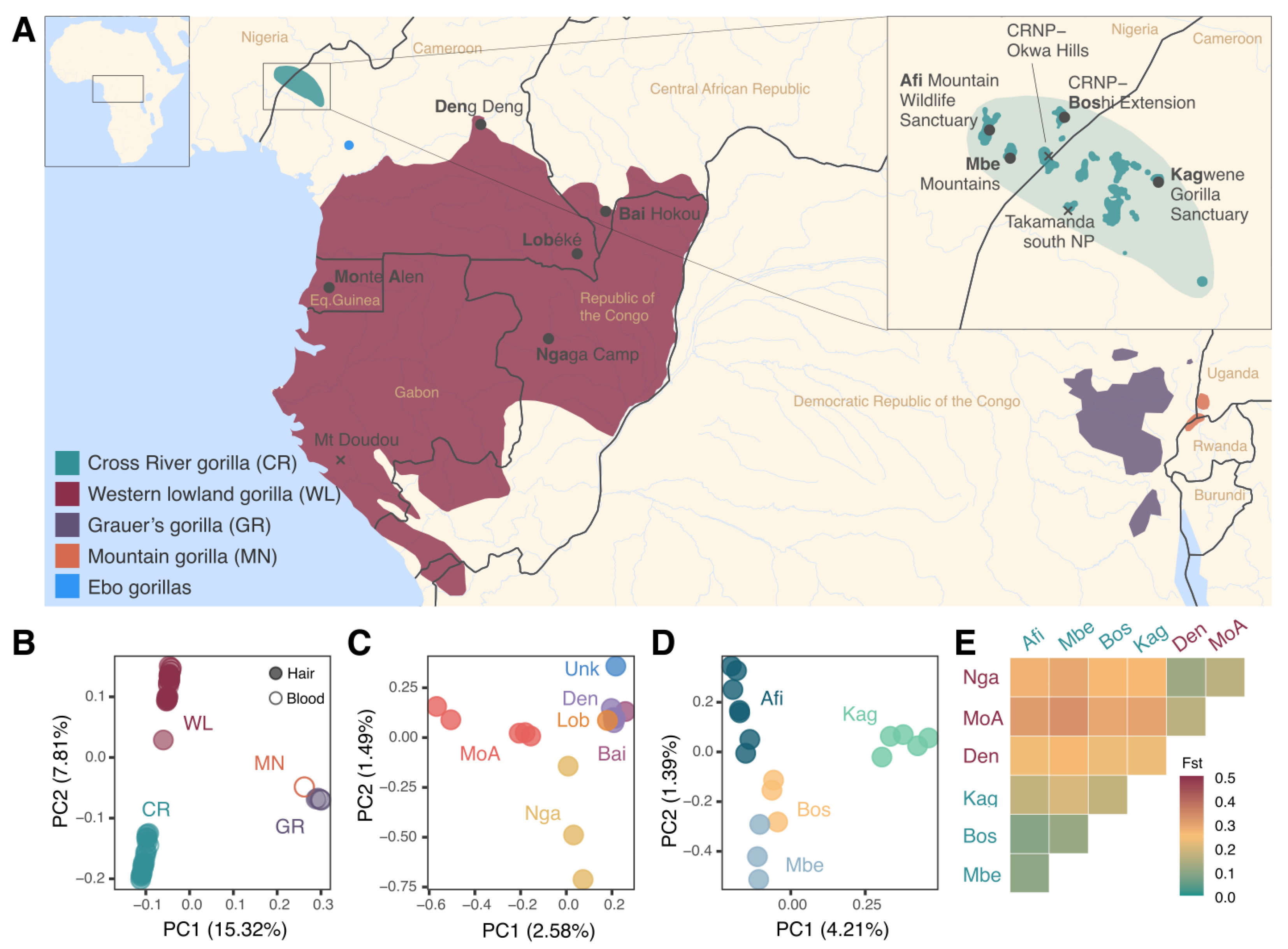 Genes 14 00743 g001 Genes 14 00743 g001