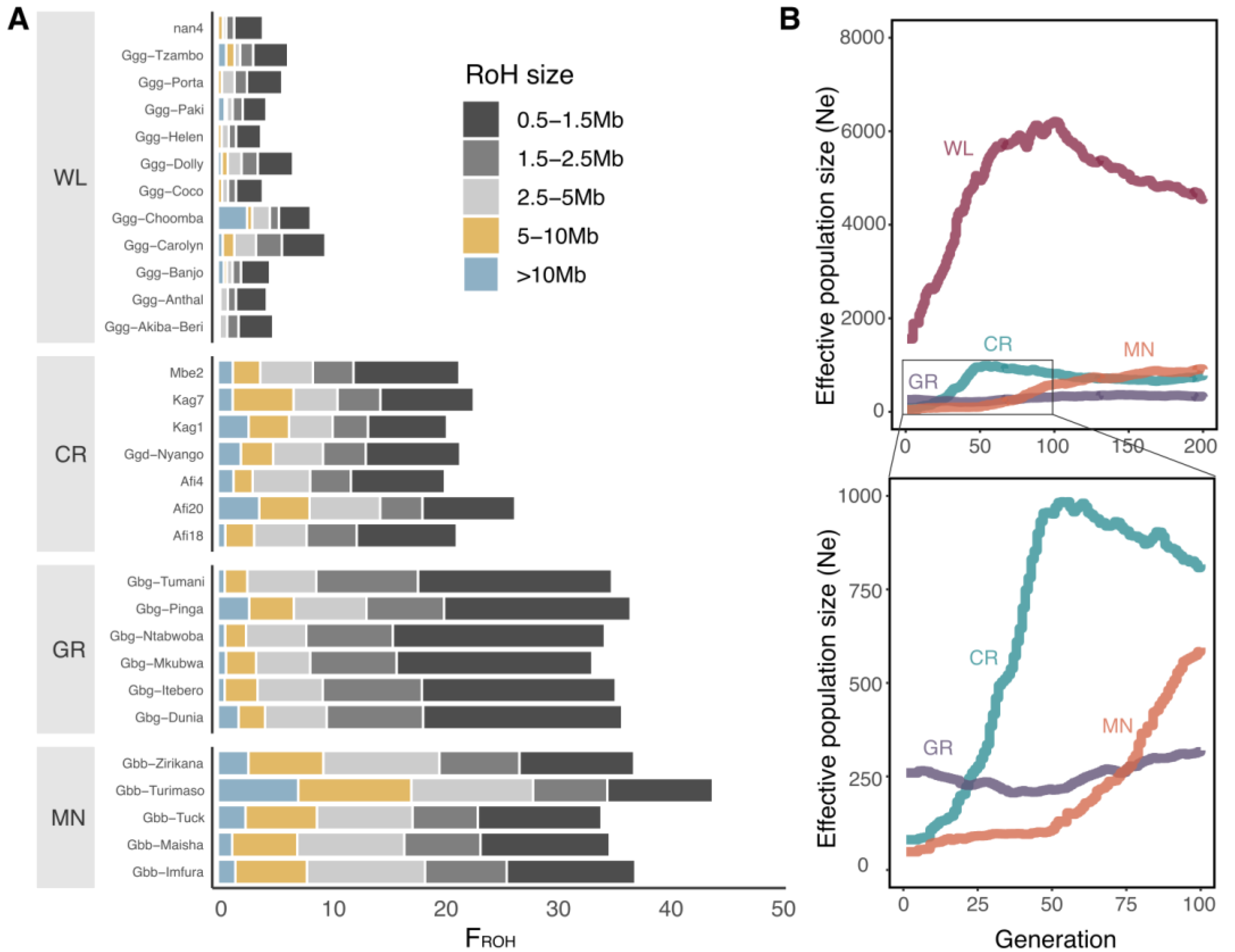 Genes 14 00743 g002 Genes 14 00743 g002