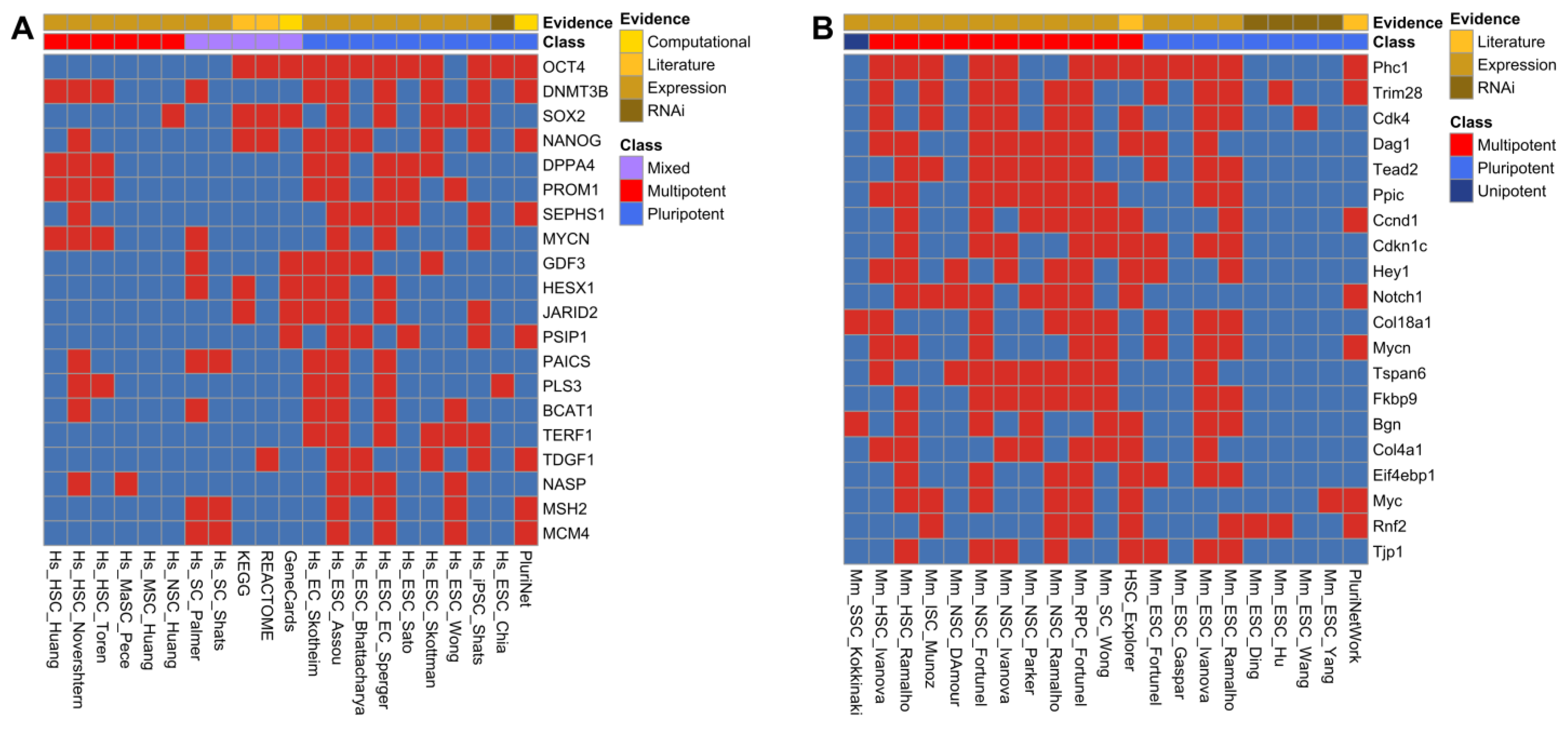 Genes 14 00745 g001 Genes 14 00745 g001