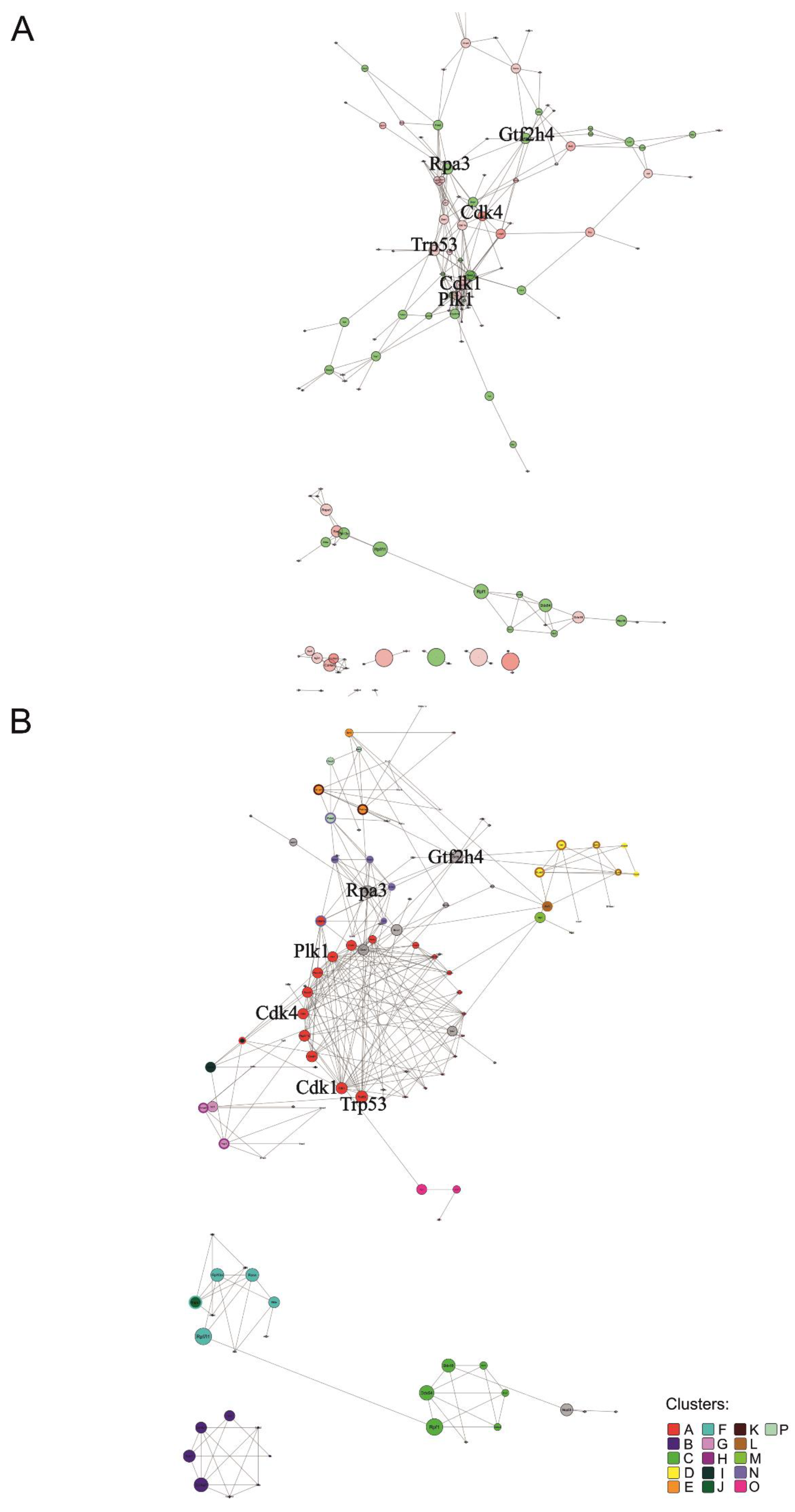 Genes 14 00745 g004 Genes 14 00745 g004