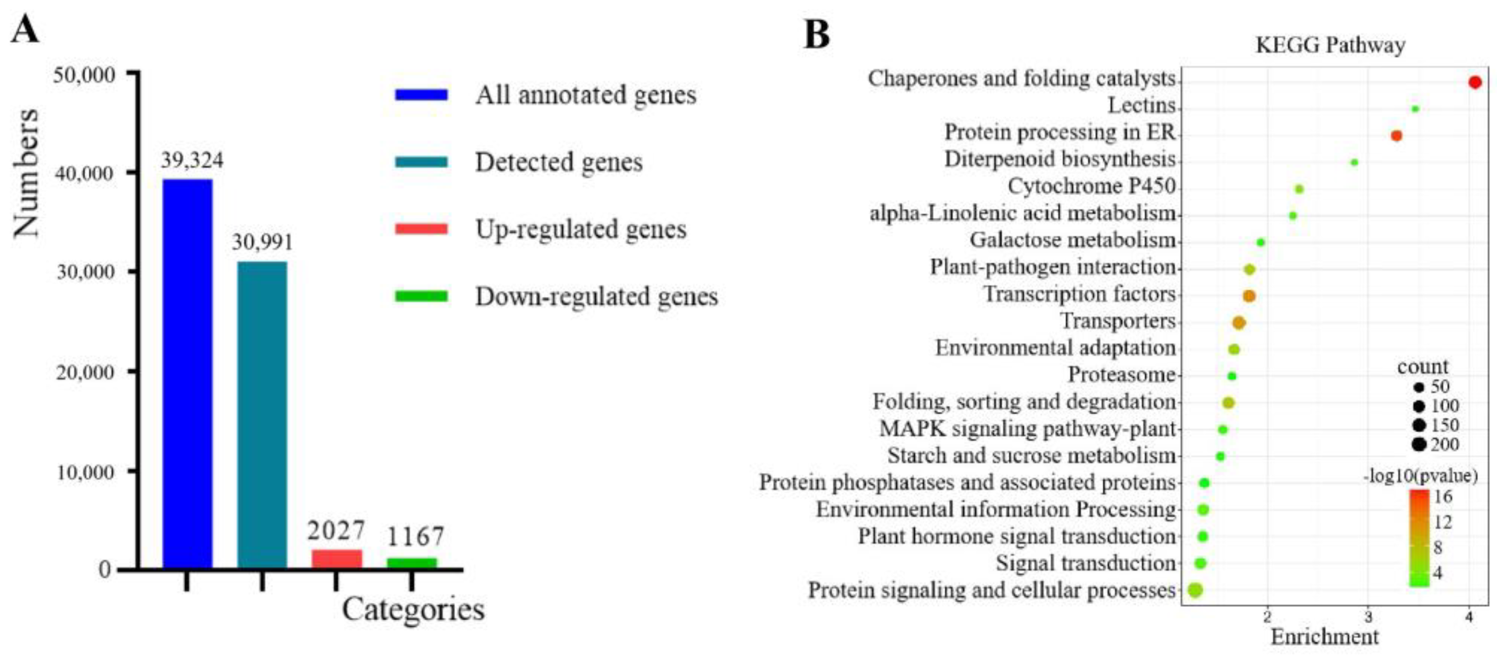 Genes 14 00749 g002