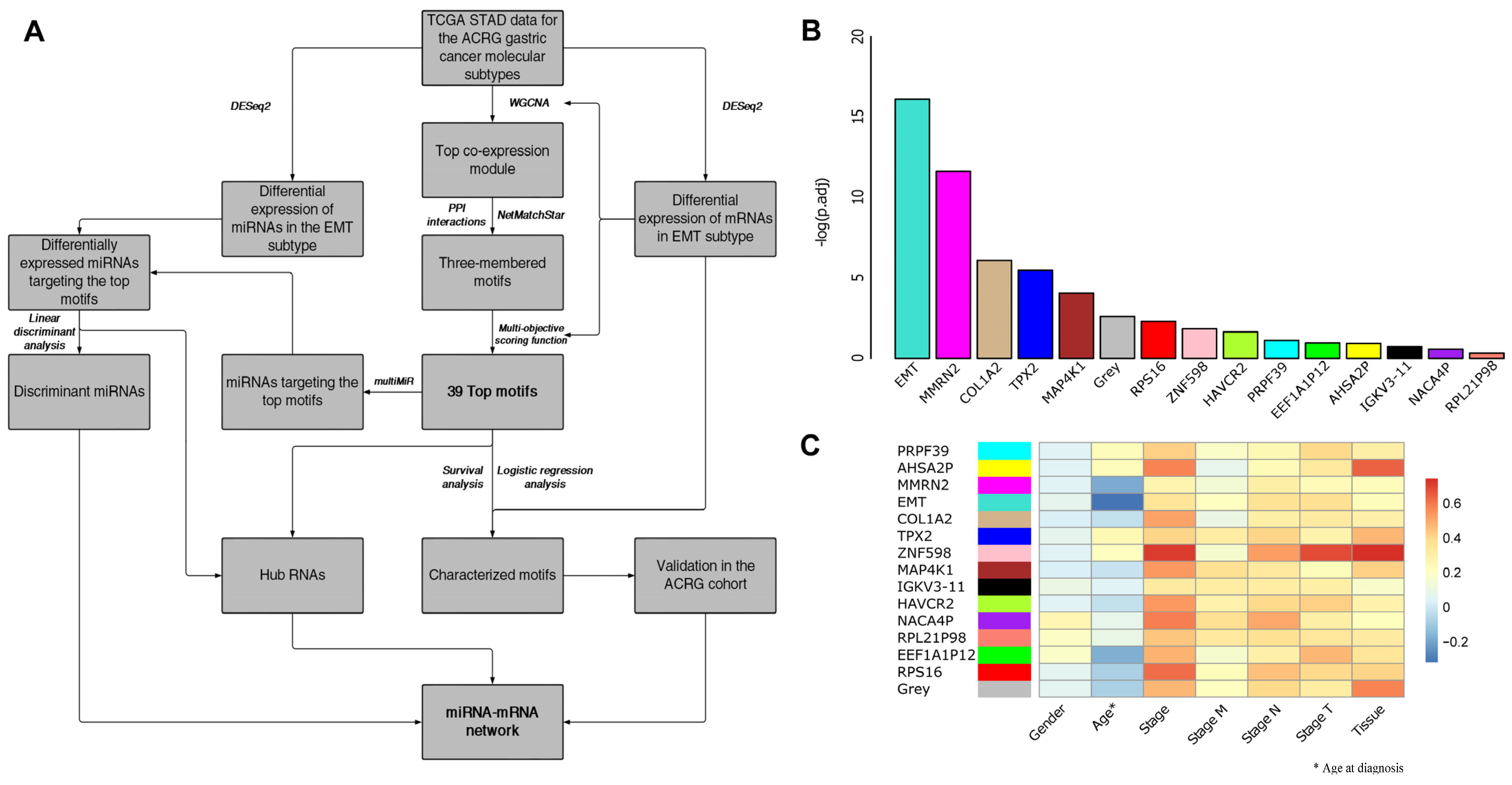 Genes 14 00750 g001 Genes 14 00750 g001