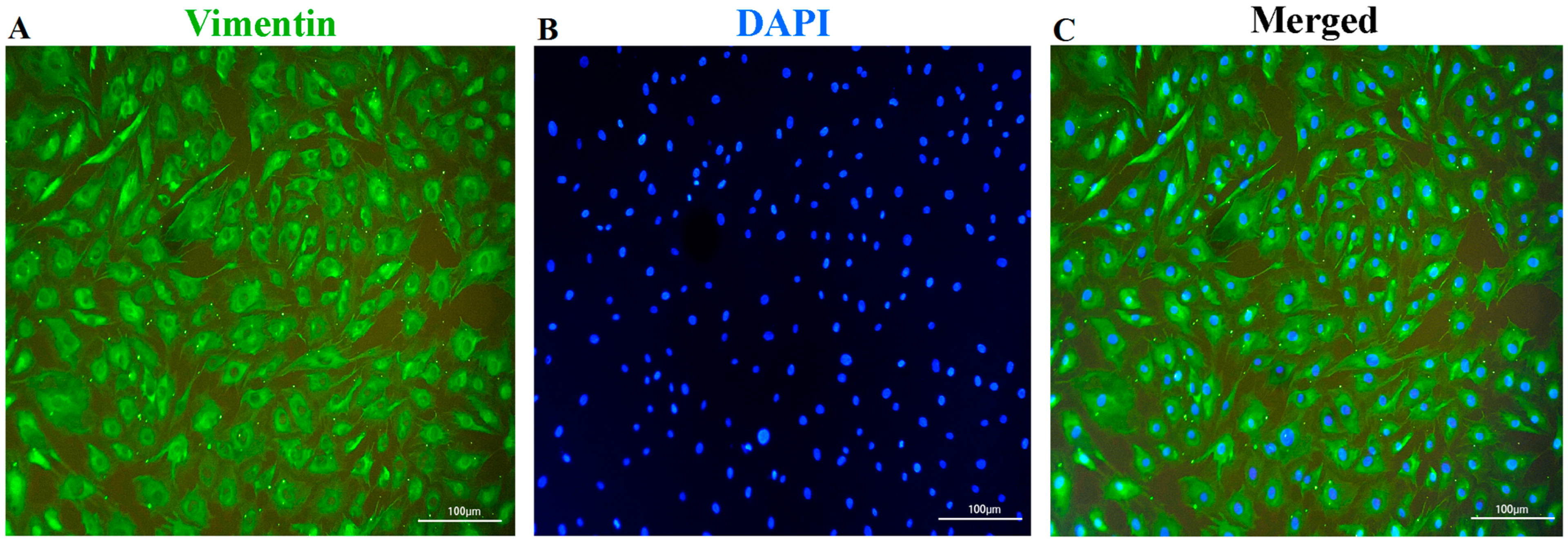 Genes 14 00751 g001 Genes 14 00751 g001