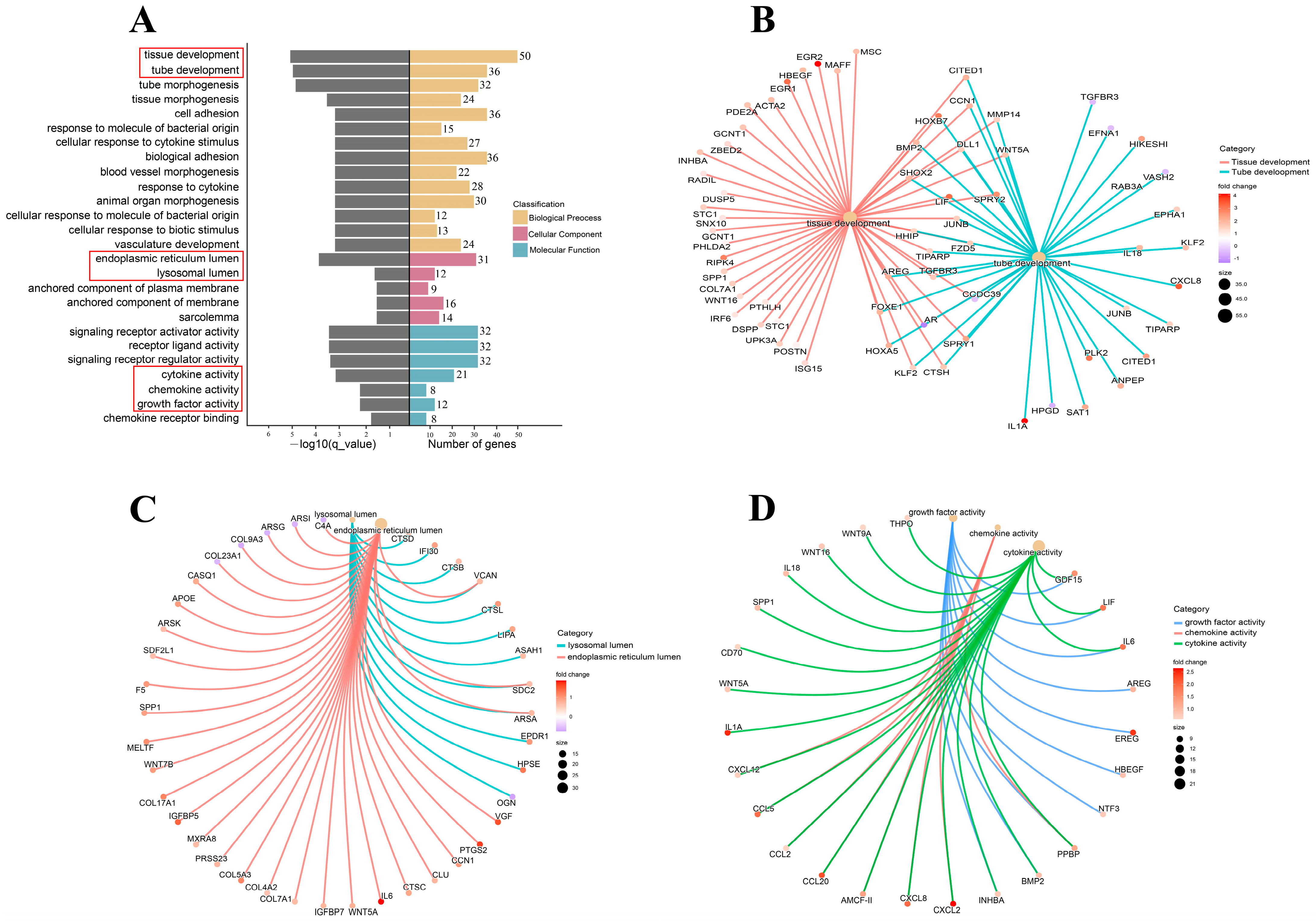 Genes 14 00751 g004 Genes 14 00751 g004