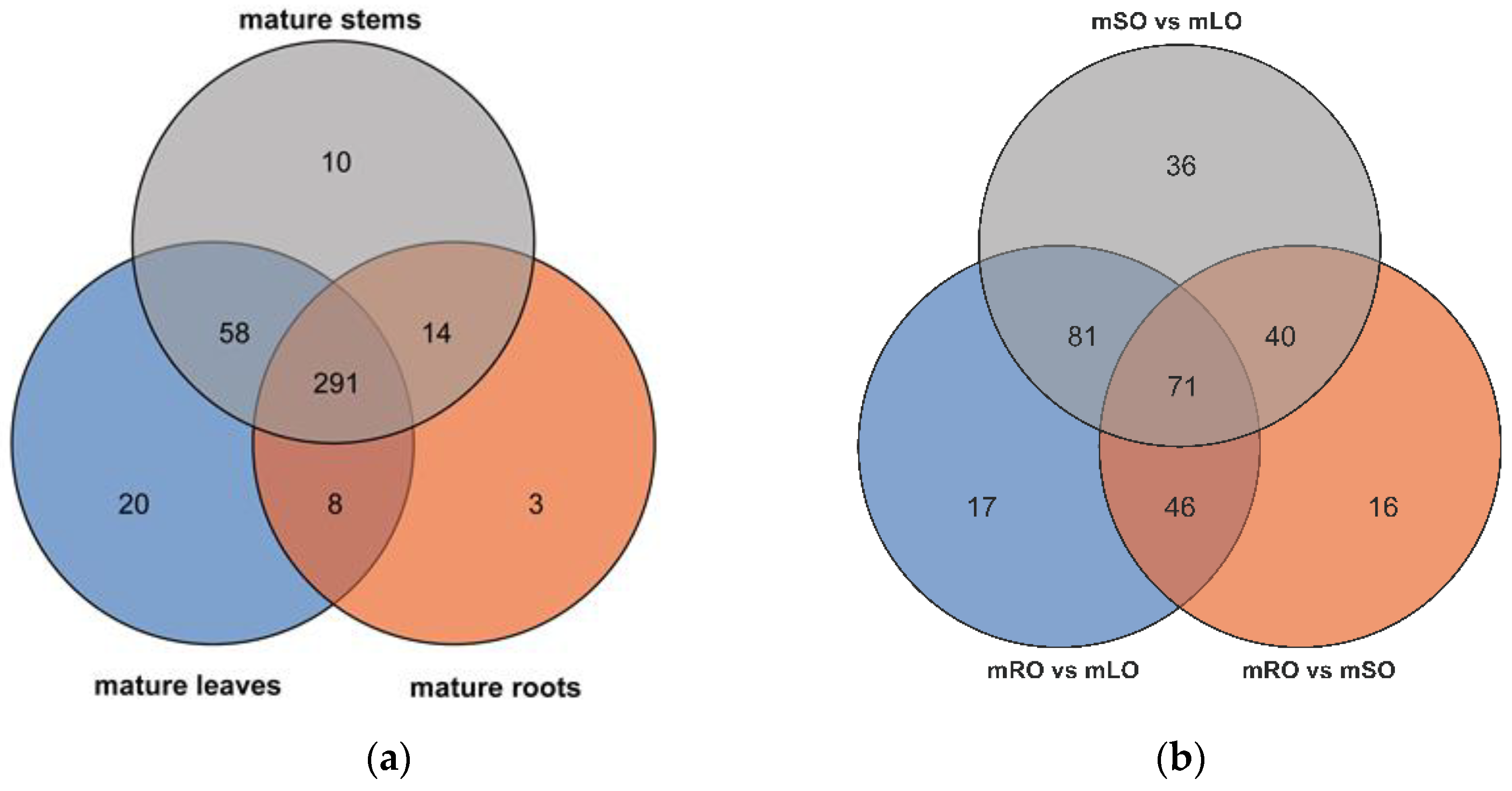 Genes 14 00752 g009 Genes 14 00752 g009