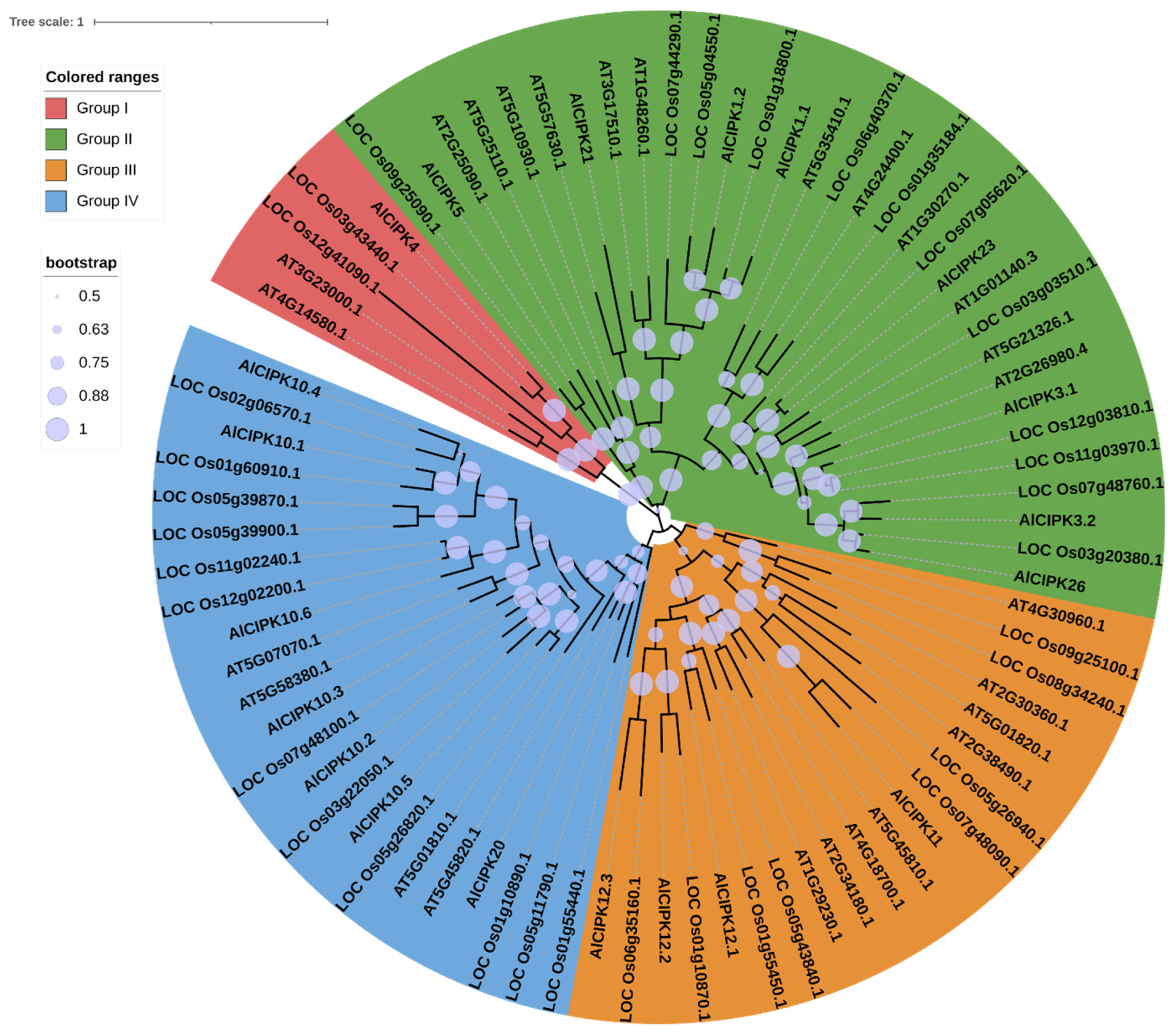 Genes 14 00753 g002 Genes 14 00753 g002