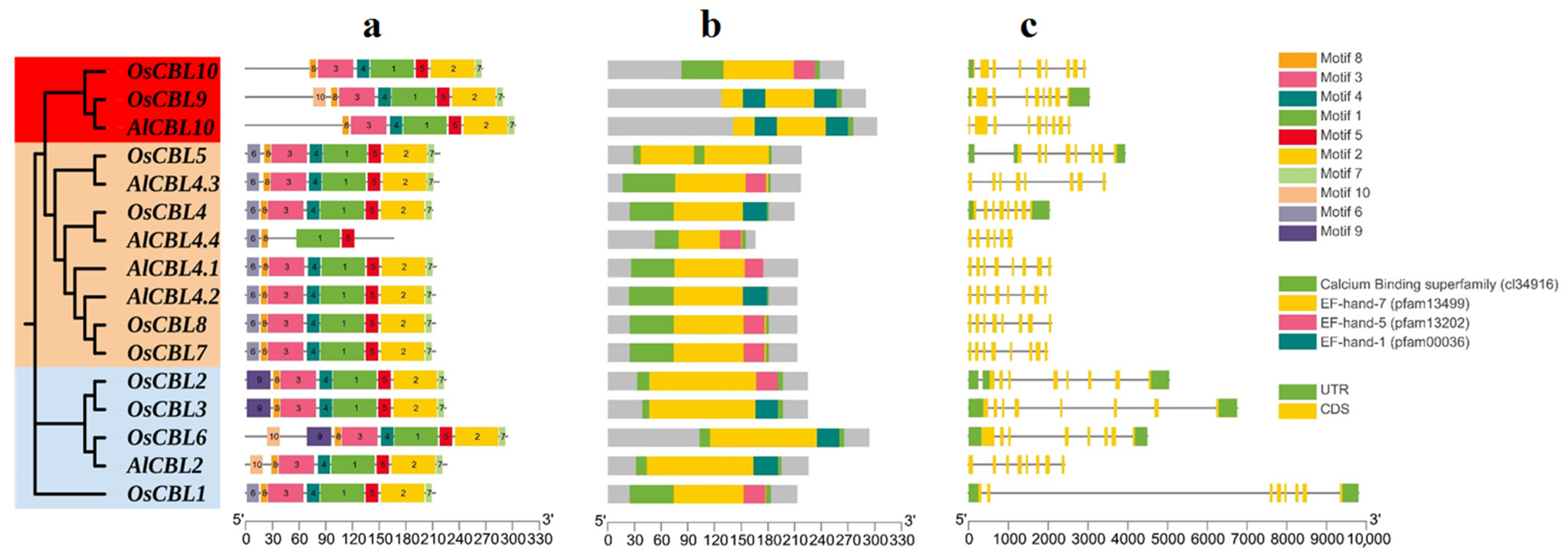 Genes 14 00753 g003 Genes 14 00753 g003