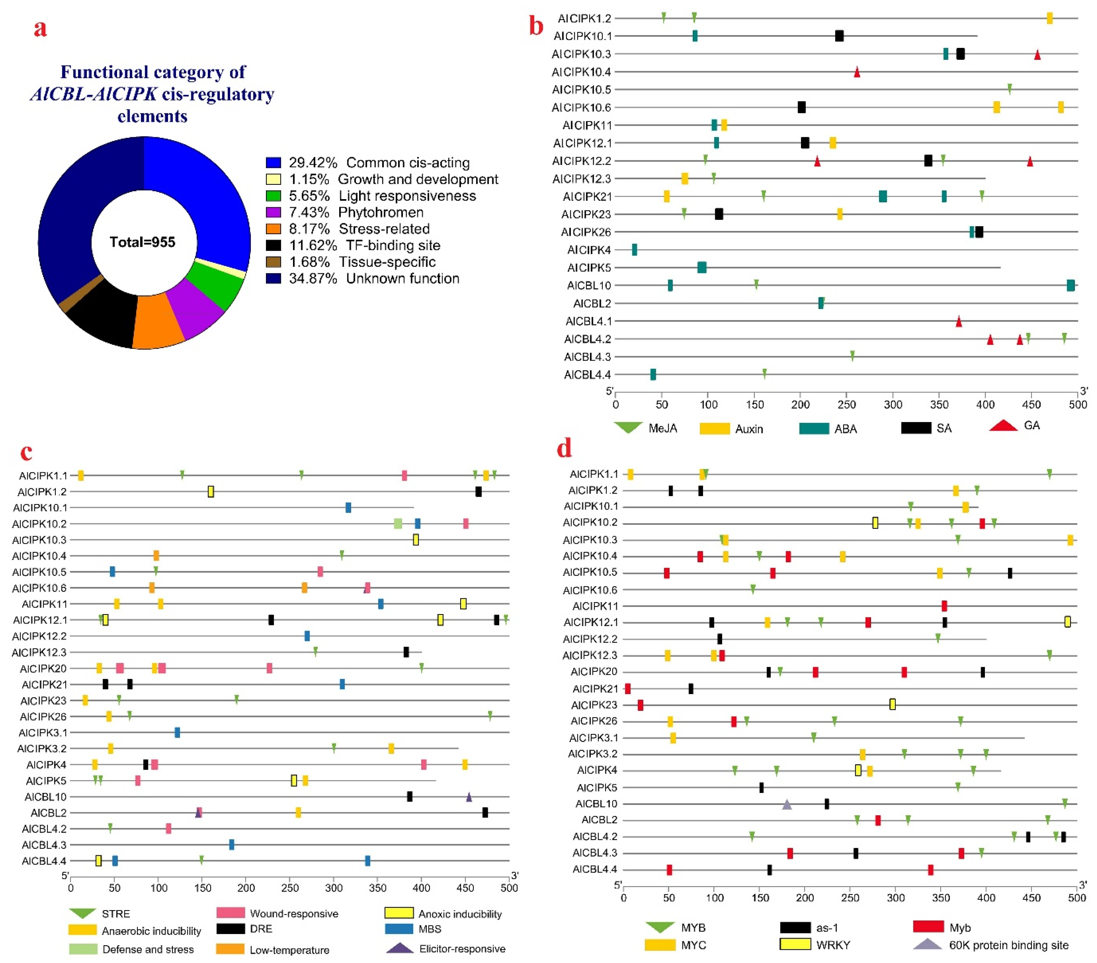 Genes 14 00753 g005 Genes 14 00753 g005