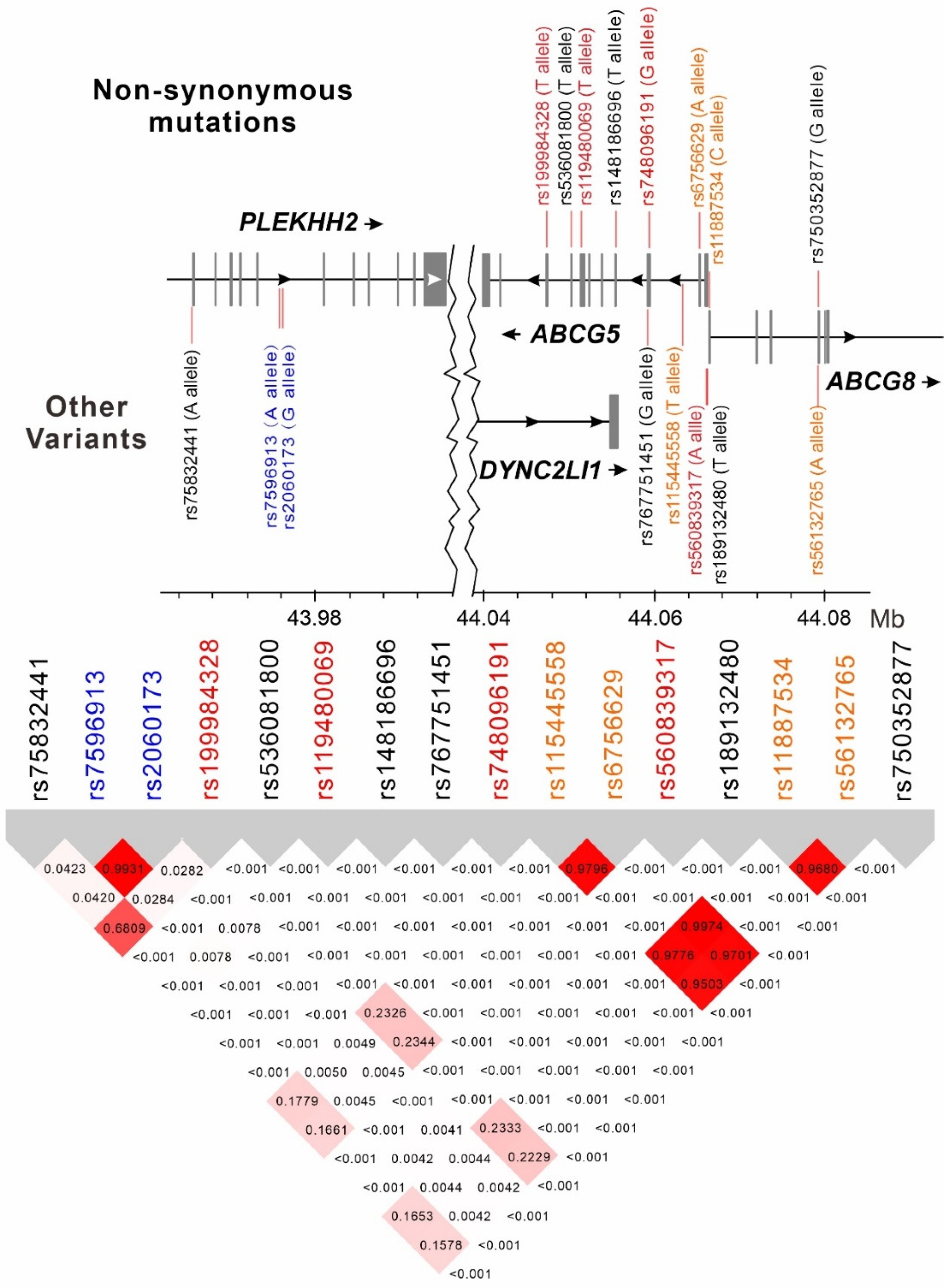 Genes 14 00754 g003 Genes 14 00754 g003