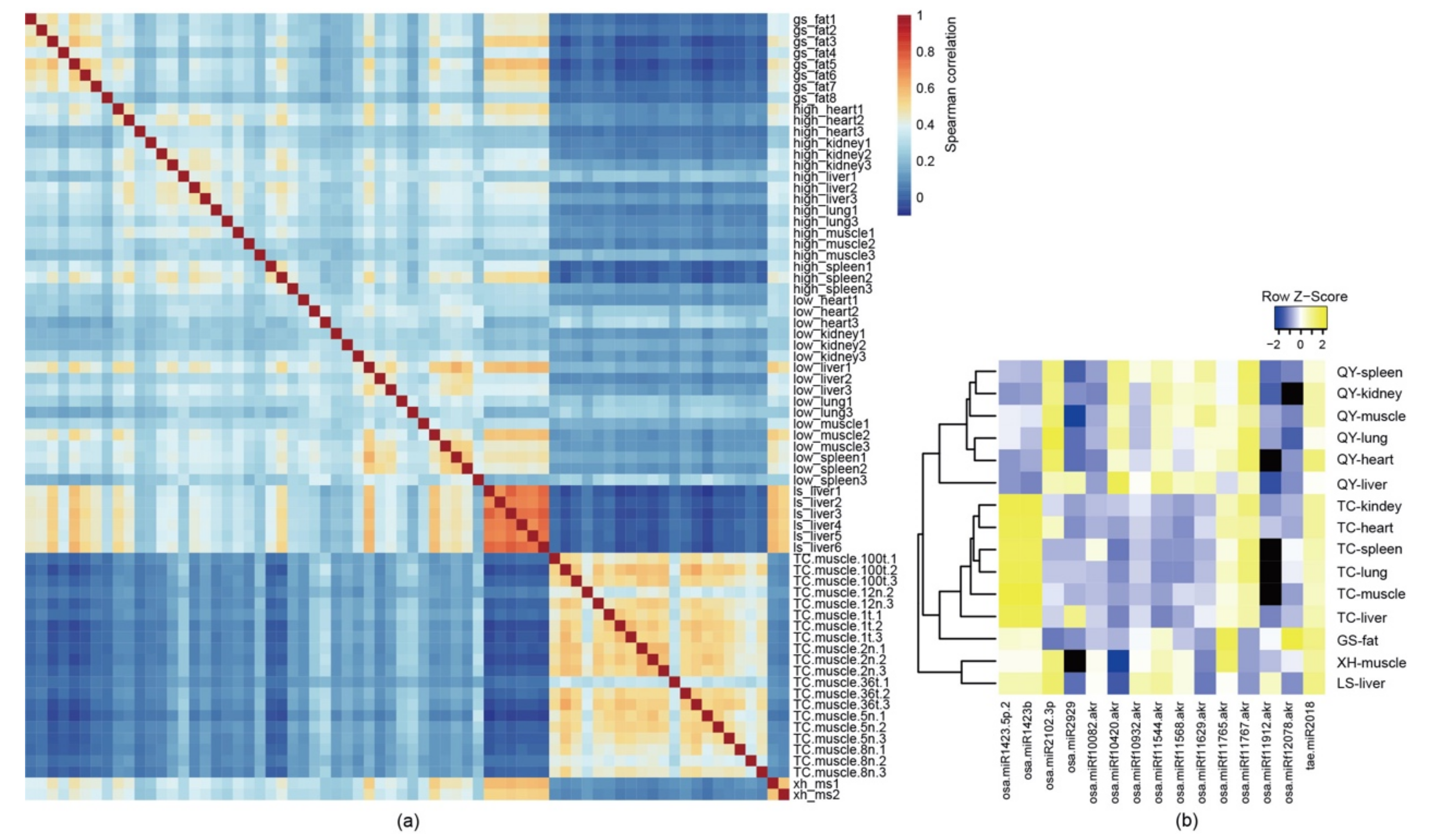 Genes 14 00760 g001 Genes 14 00760 g001