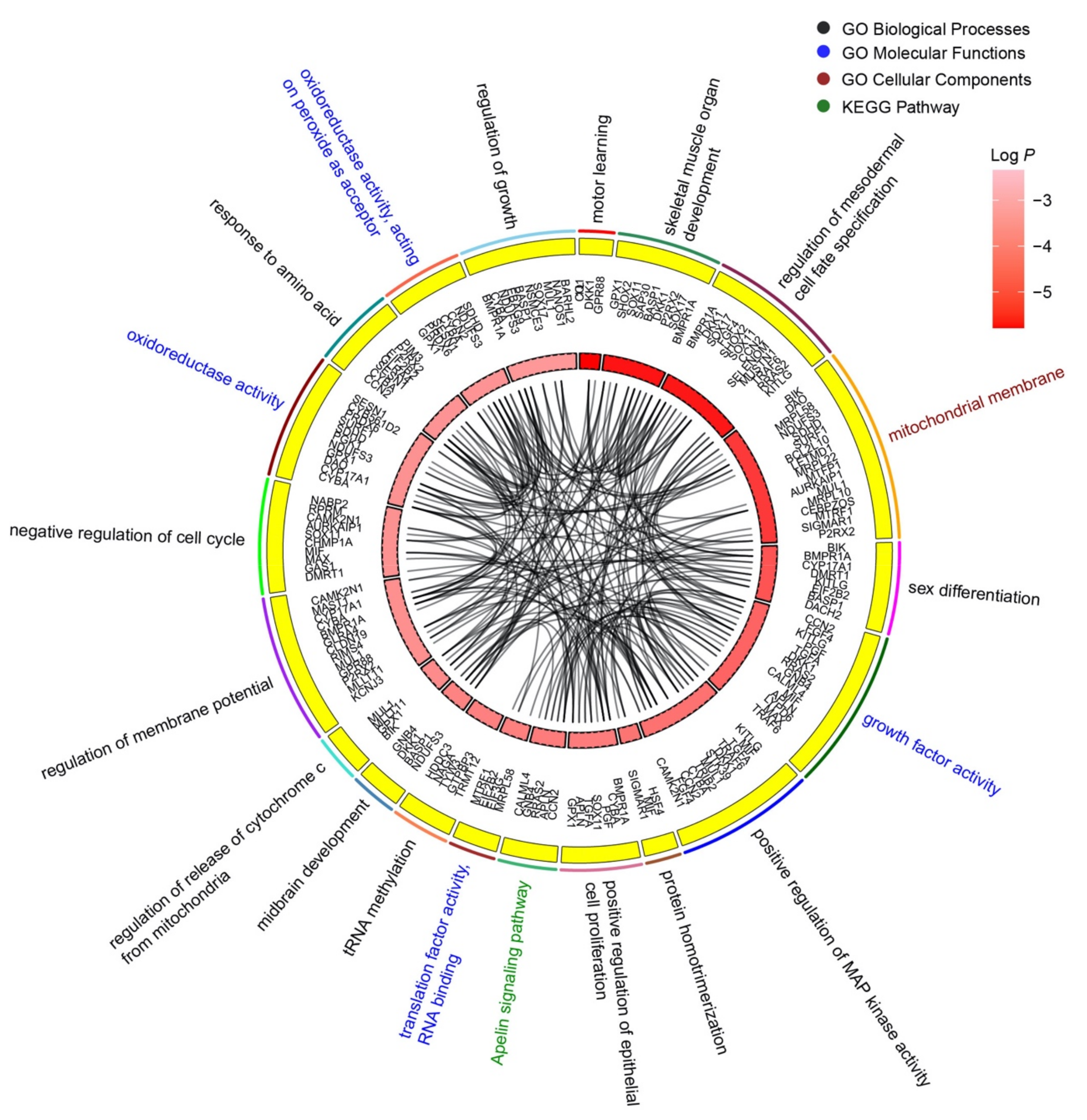 Genes 14 00760 g003 Genes 14 00760 g003