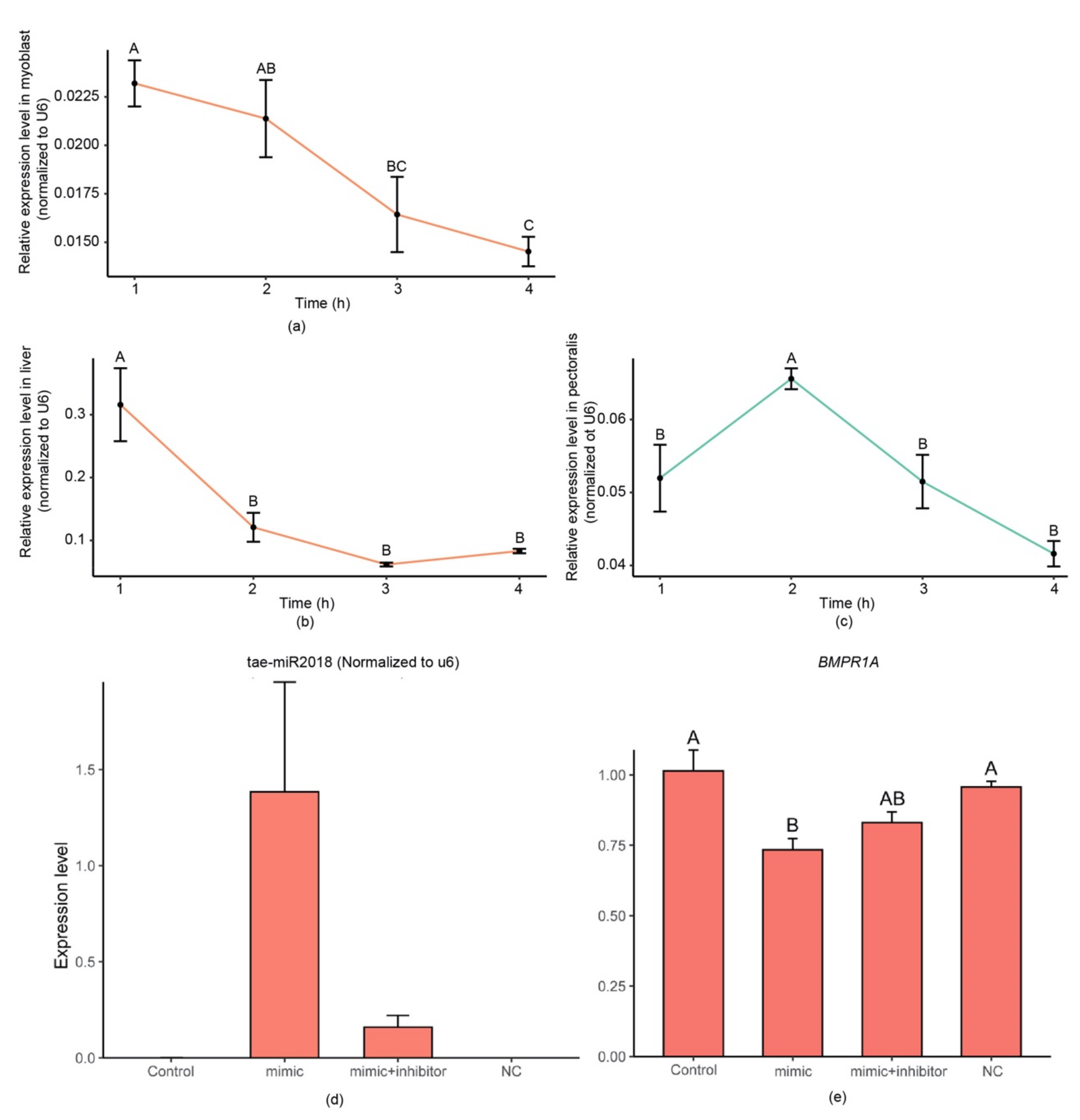 Genes 14 00760 g004 Genes 14 00760 g004