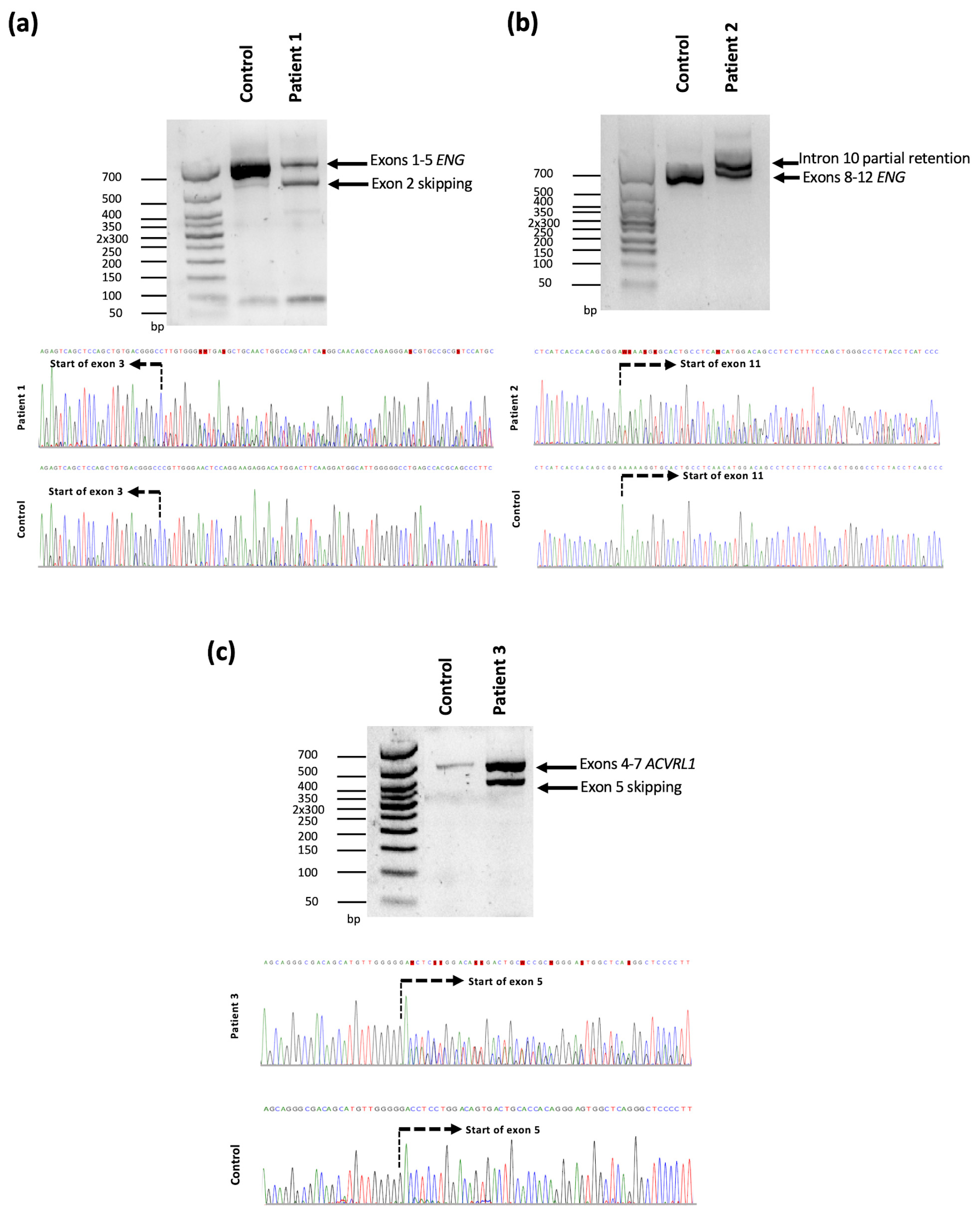 Genes 14 00772 g001 Genes 14 00772 g001
