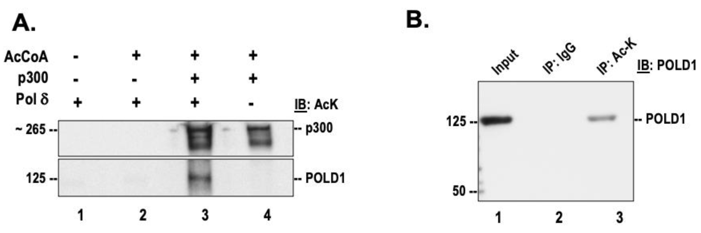 Genes 14 00774 g001 Genes 14 00774 g001