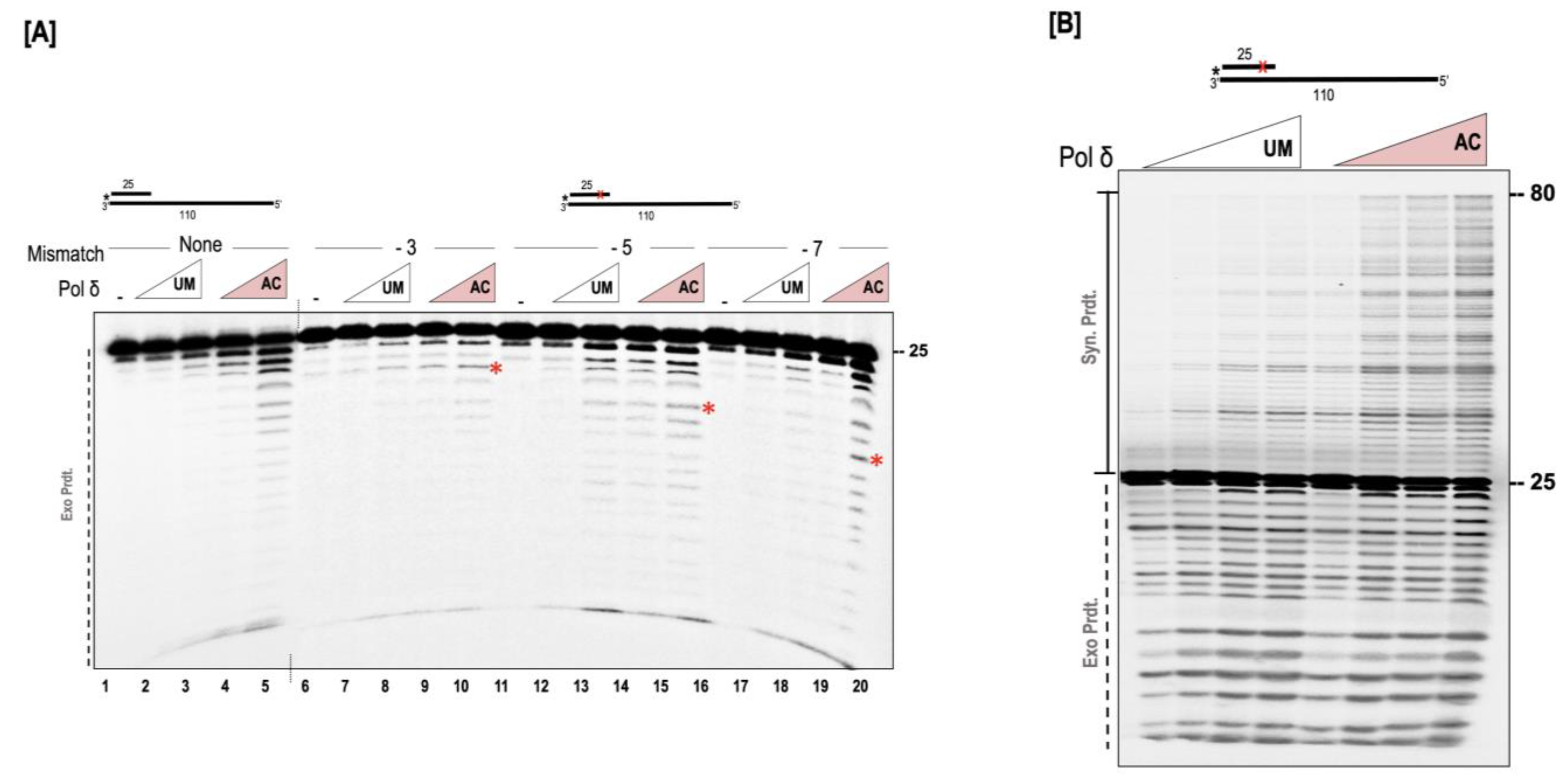 Genes 14 00774 g006 Genes 14 00774 g006