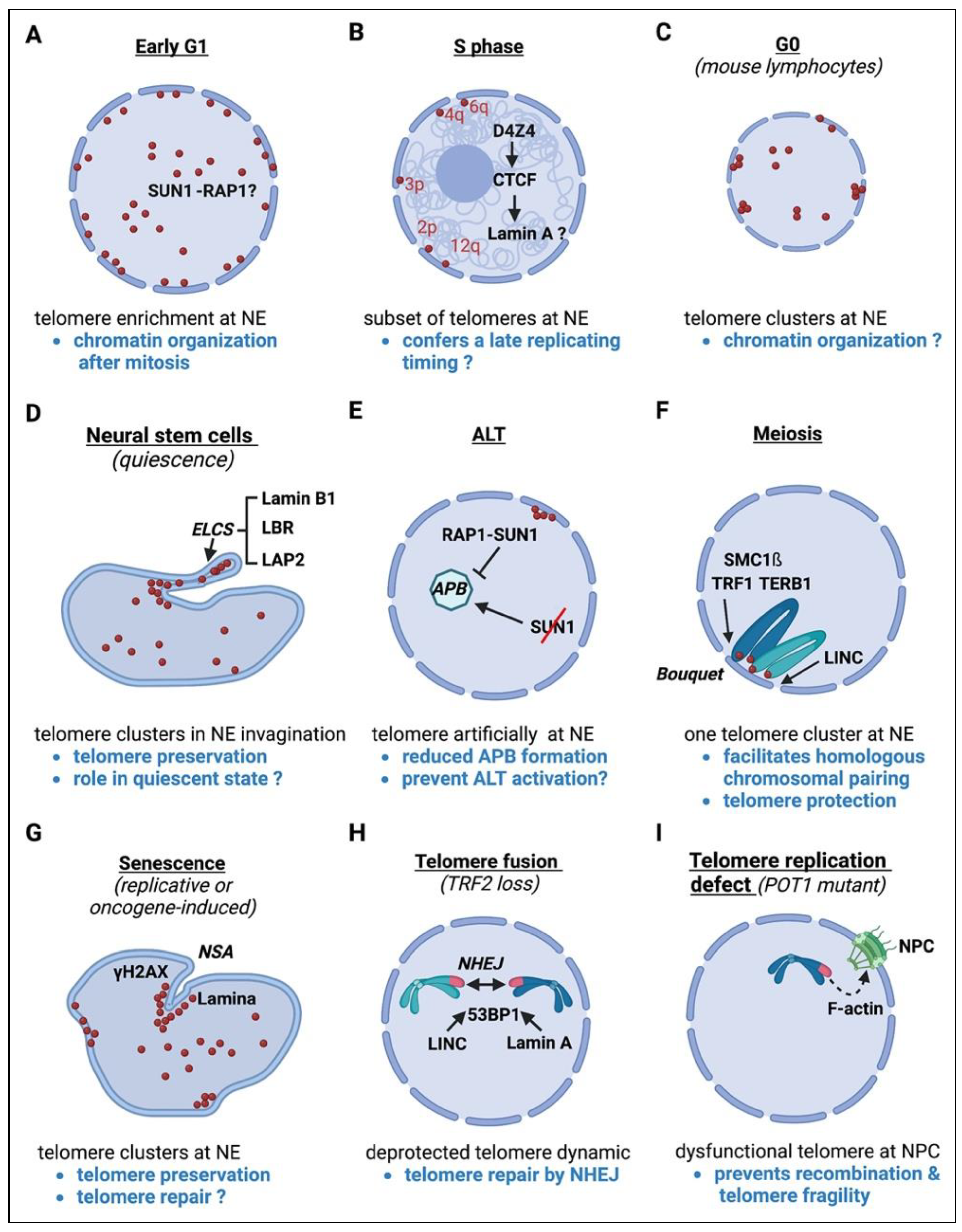 Genes 14 00775 g003 Genes 14 00775 g003