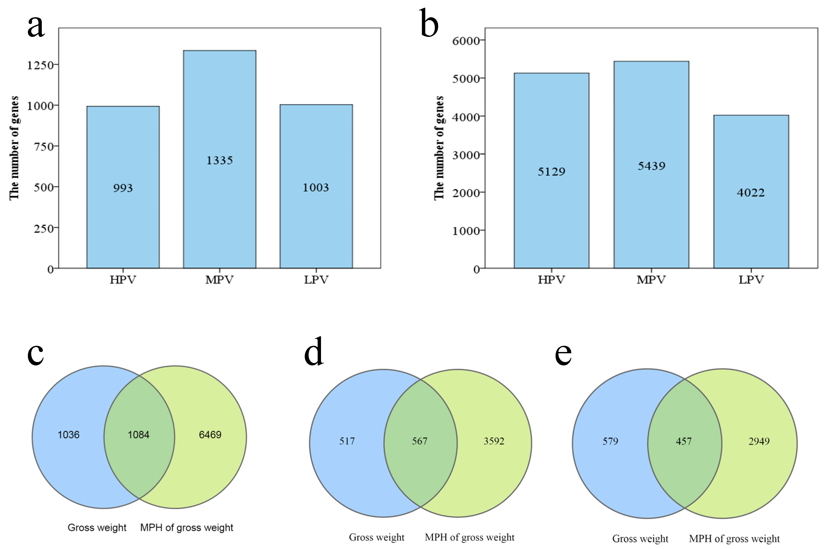 Genes 14 00776 g002 Genes 14 00776 g002