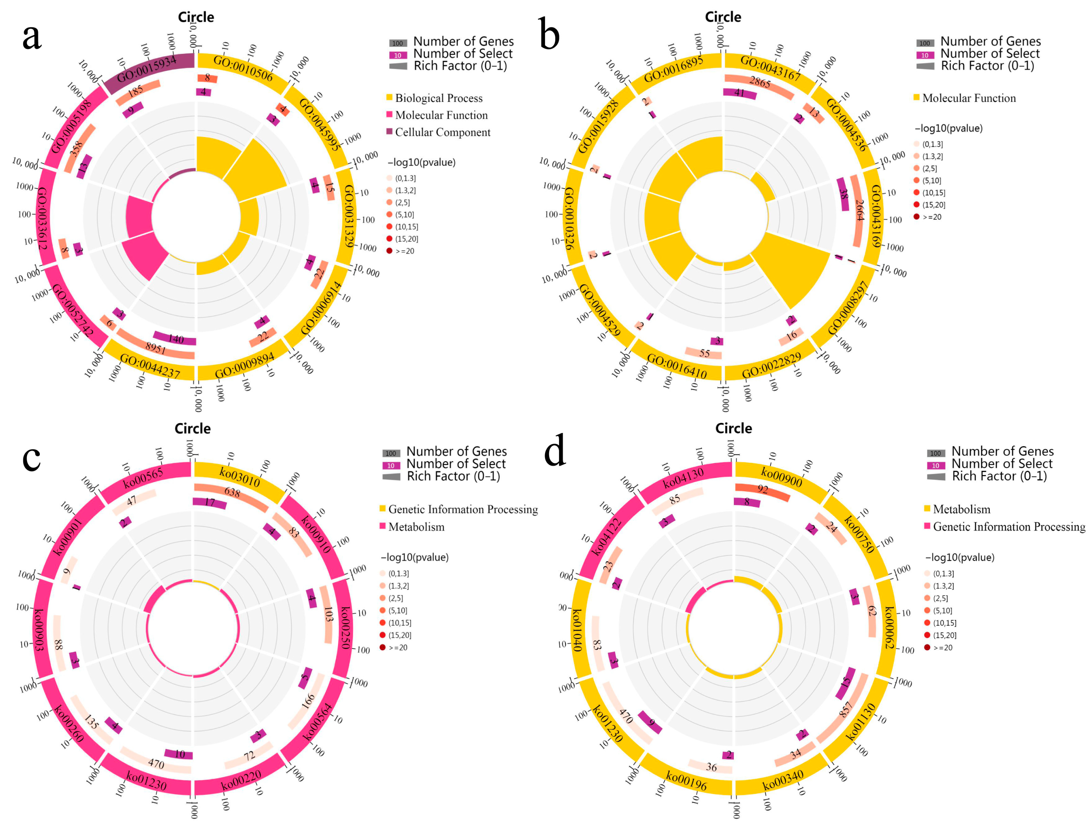 Genes 14 00776 g003 Genes 14 00776 g003