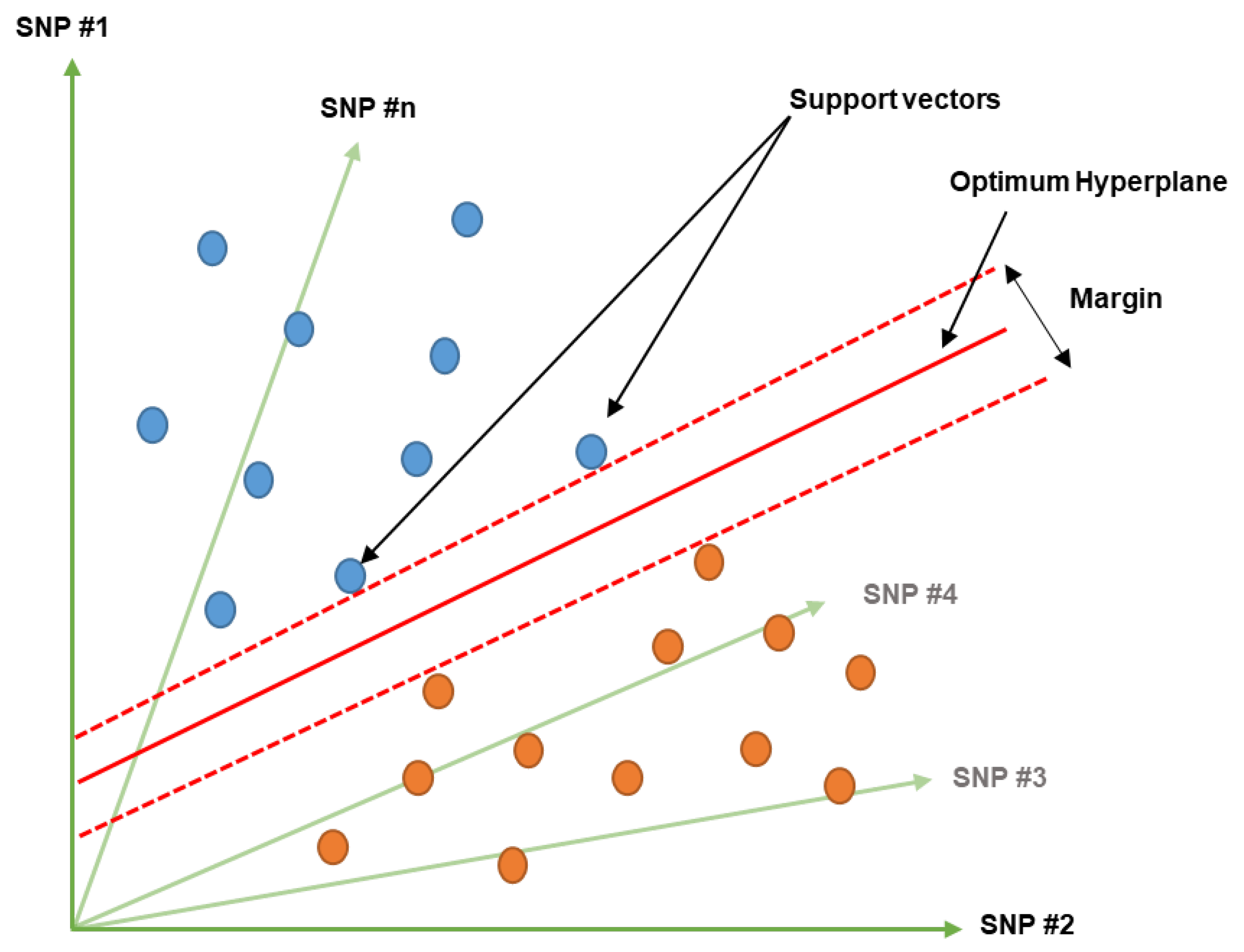 Genes 14 00777 g002 Genes 14 00777 g002