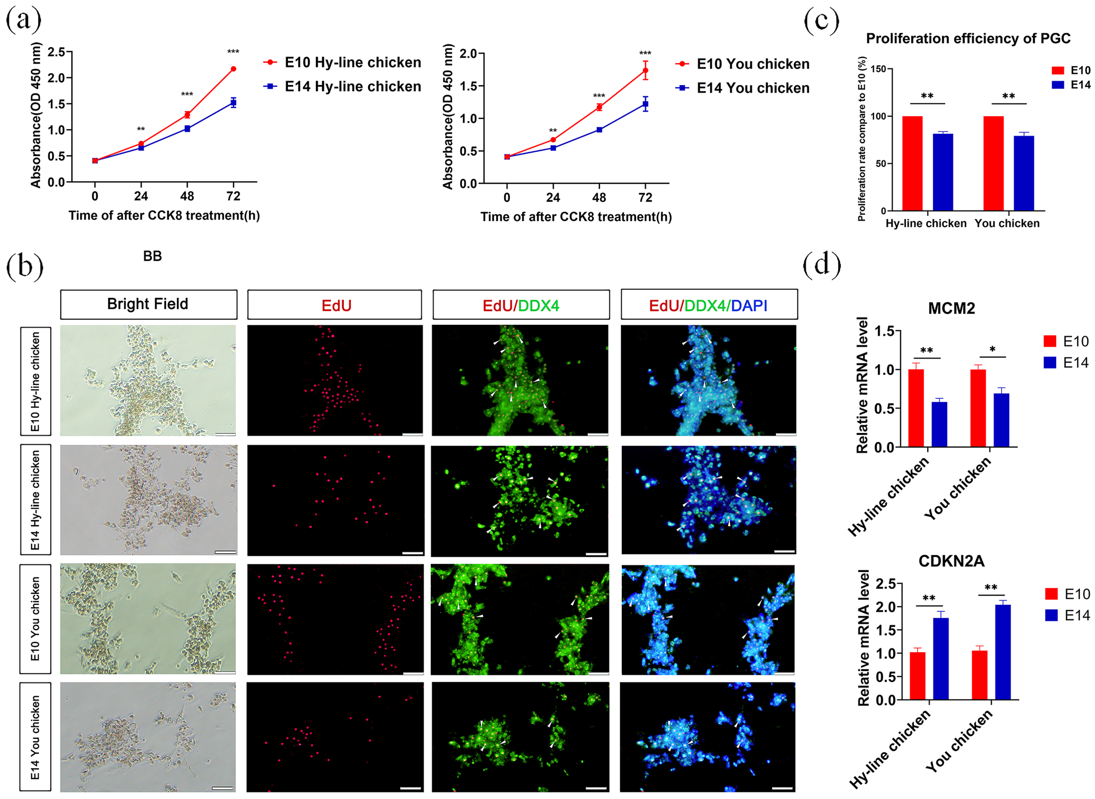 Genes 14 00781 g001 Genes 14 00781 g001