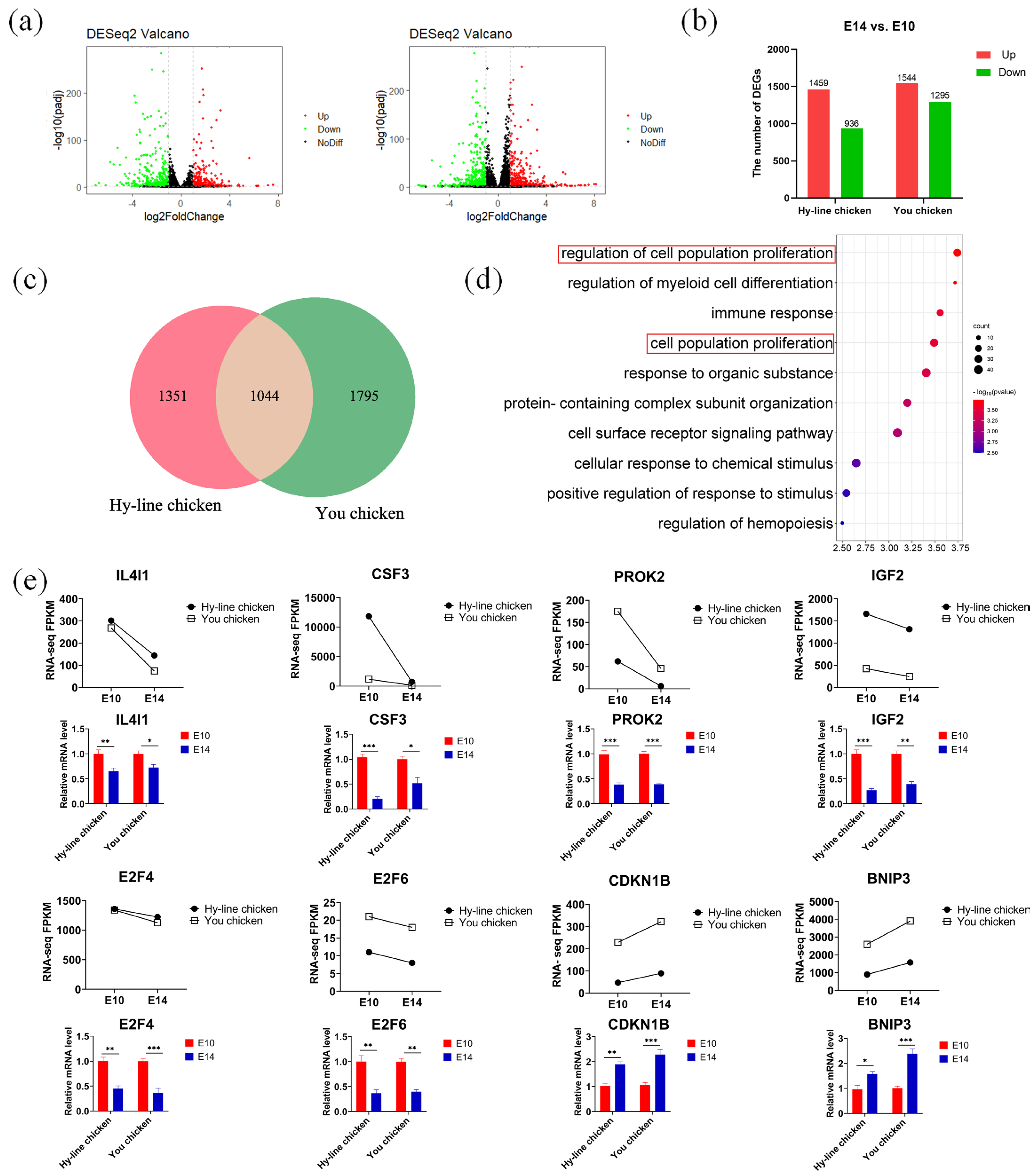 Genes 14 00781 g002 Genes 14 00781 g002