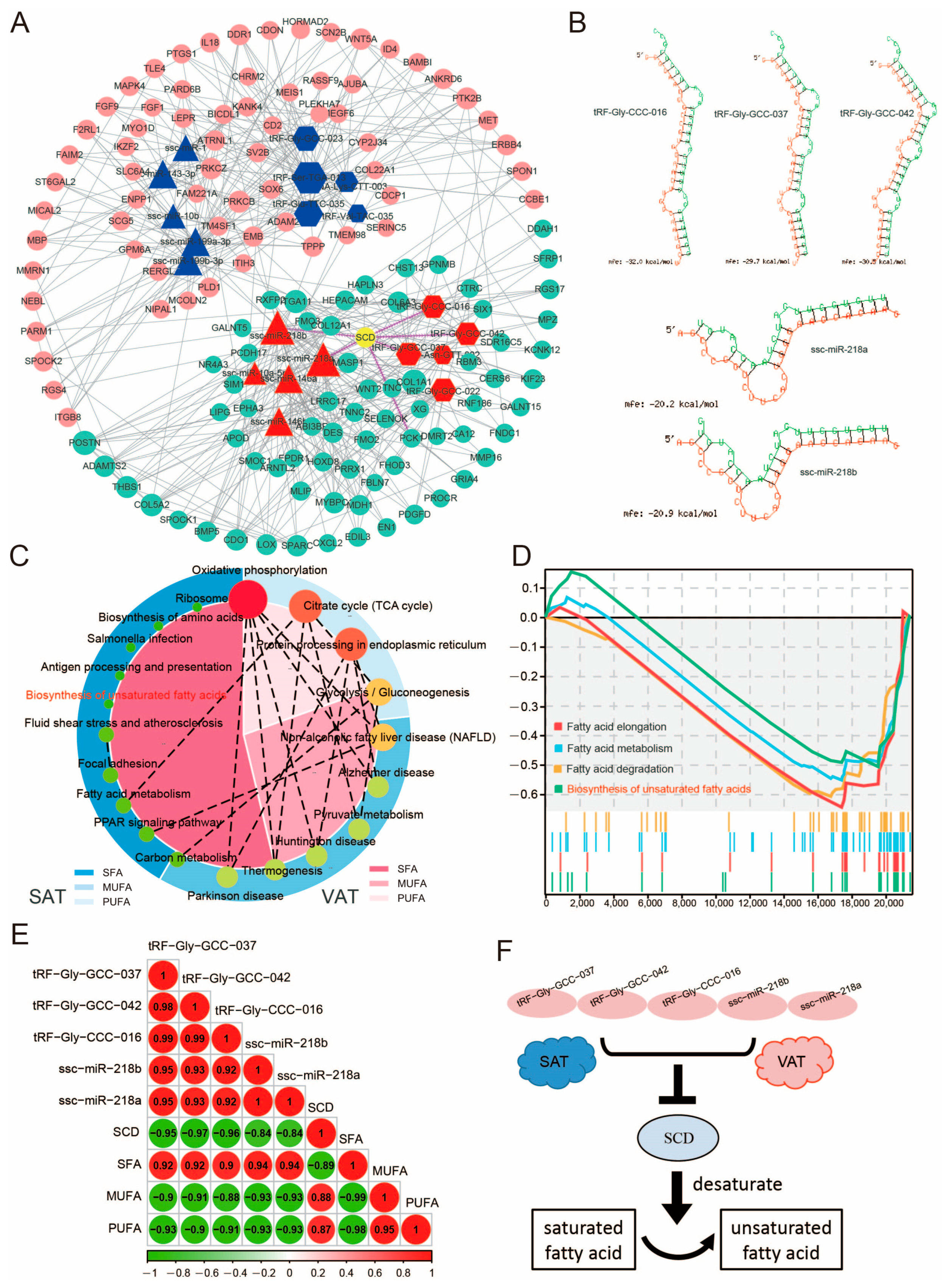 Genes 14 00782 g007 Genes 14 00782 g007