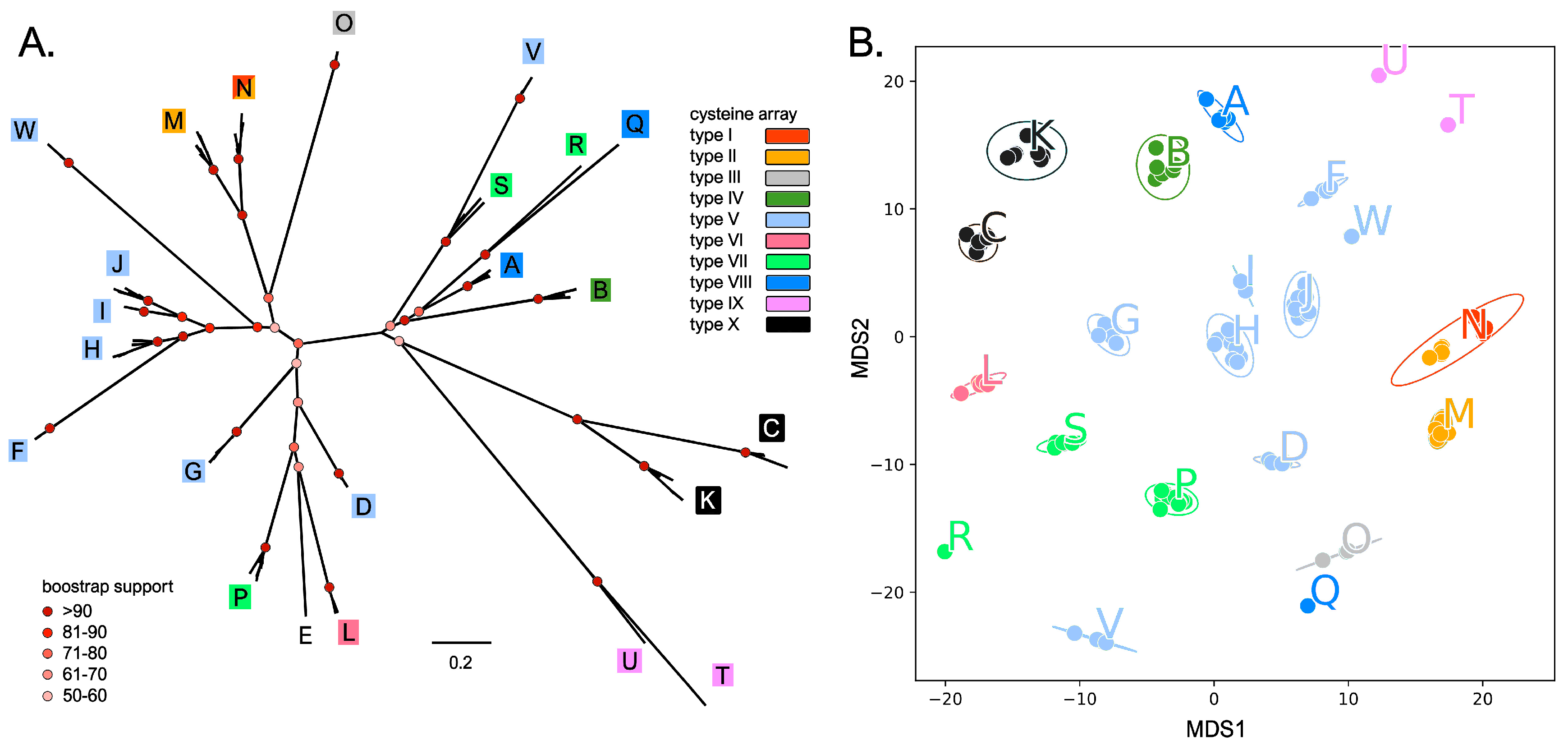 Genes 14 00787 g002 Genes 14 00787 g002