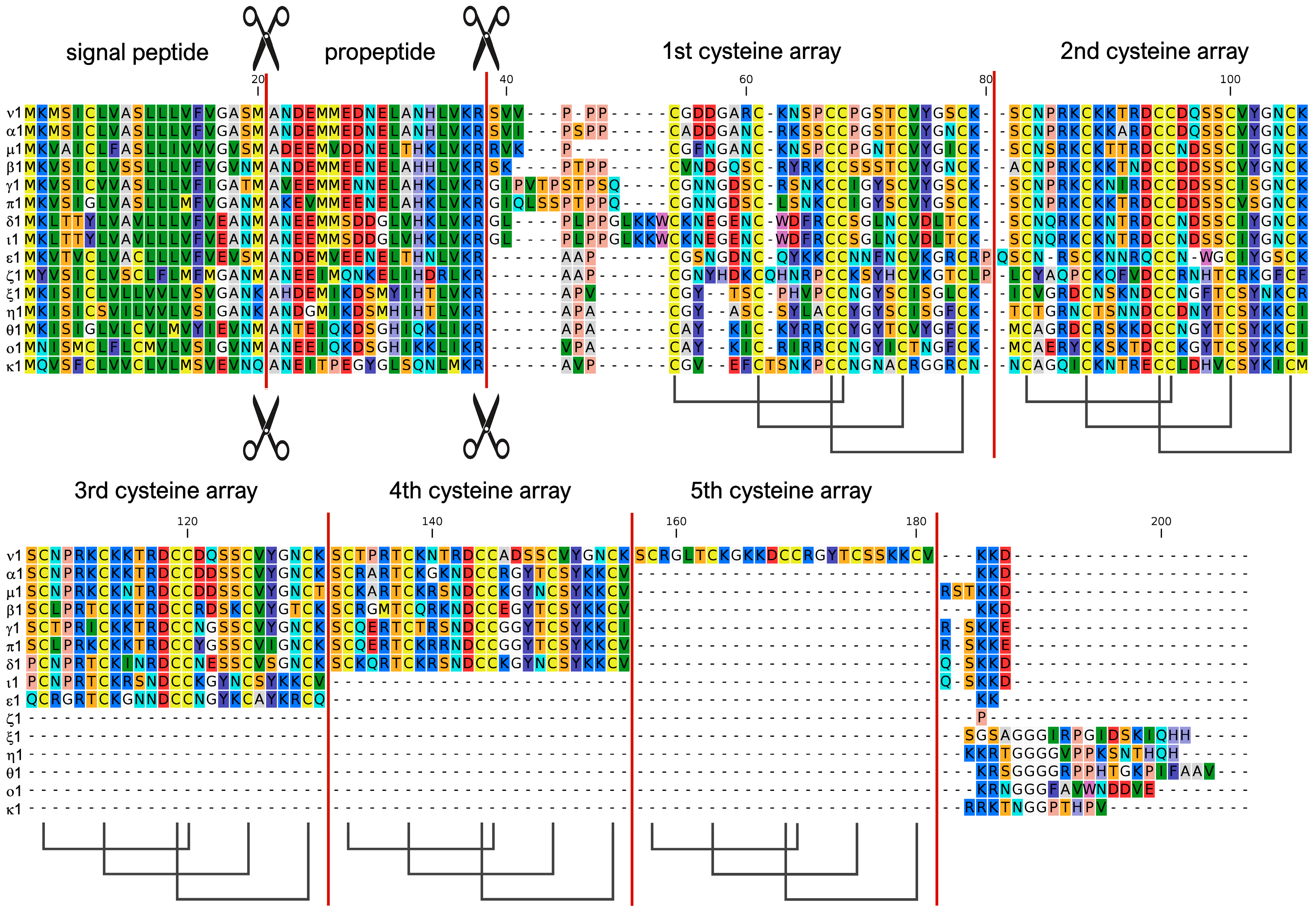 Genes 14 00787 g003 Genes 14 00787 g003
