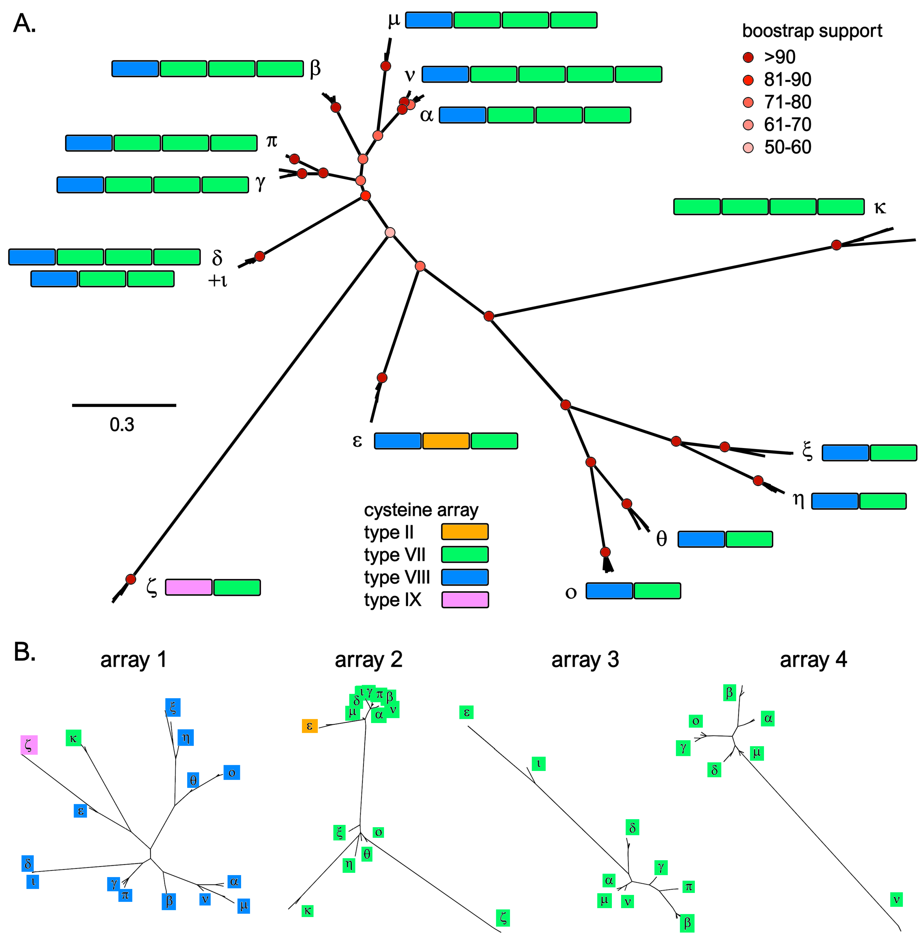 Genes 14 00787 g004 Genes 14 00787 g004