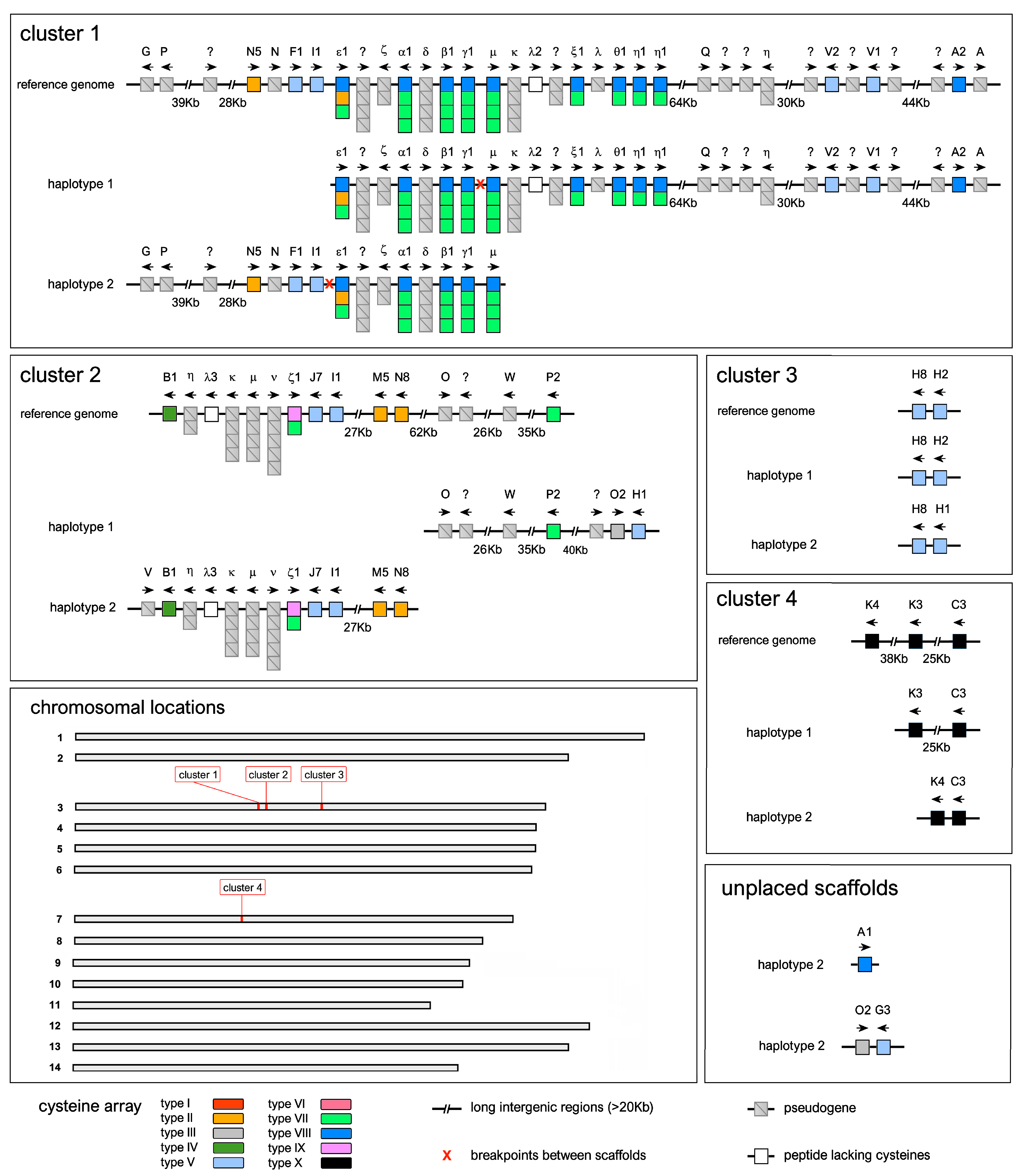 Genes 14 00787 g006 Genes 14 00787 g006