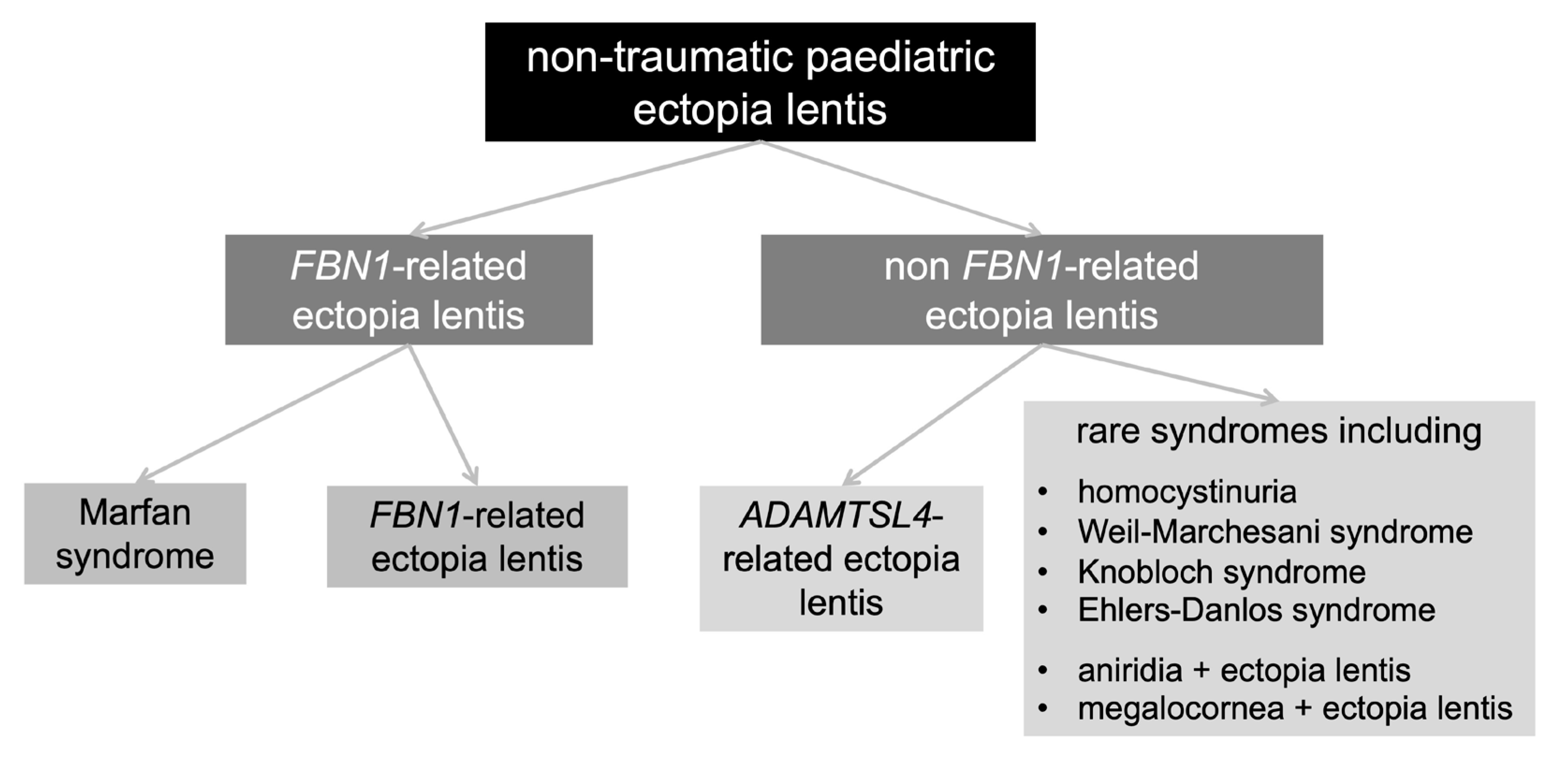 Genes 14 00791 g002 Genes 14 00791 g002