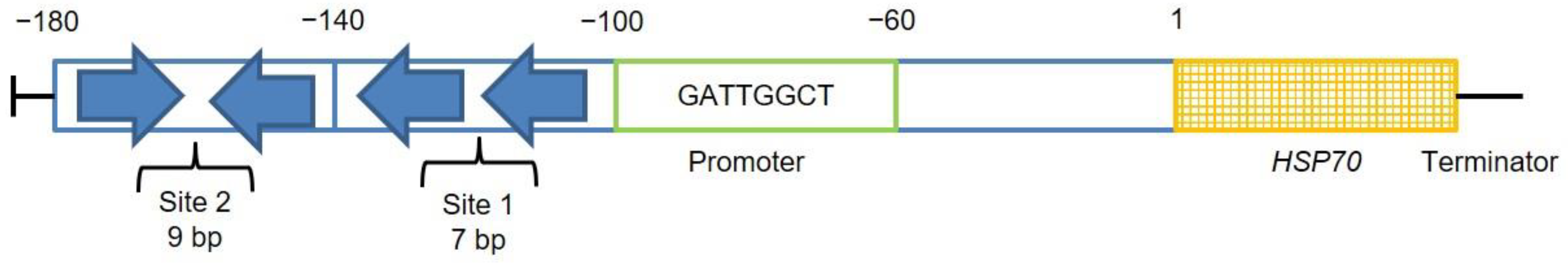 Genes 14 00792 g001 Genes 14 00792 g001